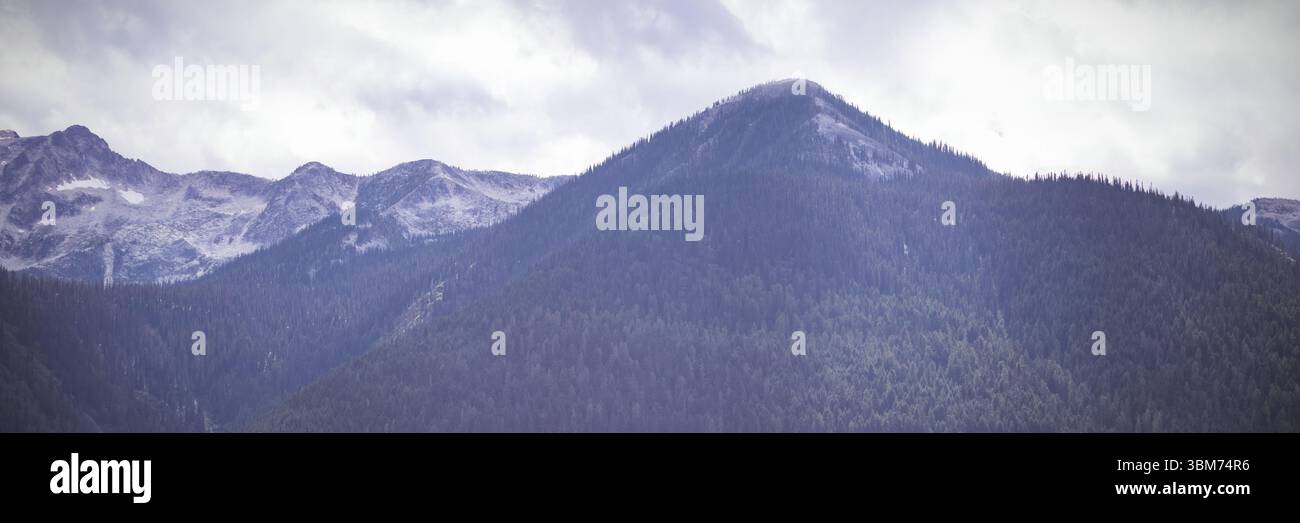Il crinale di montagna viene mostrato in un design piatto con foresta di conifere, vette innevate e copertura nuvolosa Foto Stock