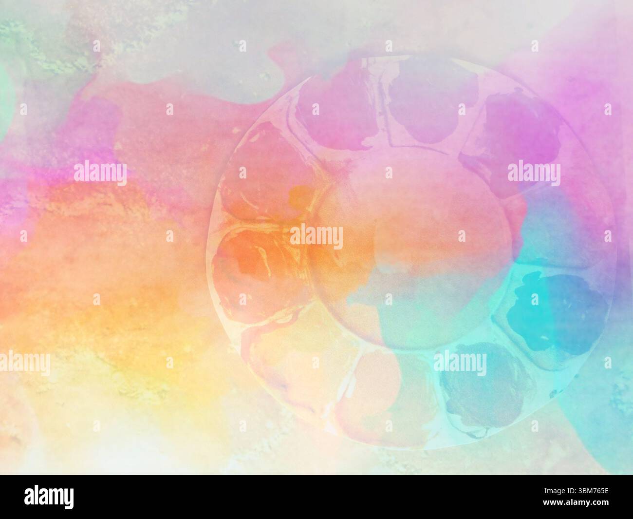 Tavolozza dei colori su sfondo neutro Foto Stock