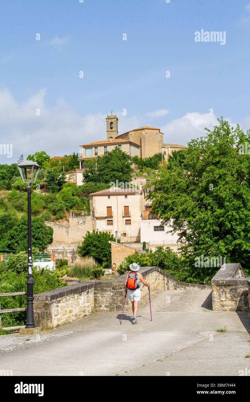 Donna Pellegrina che cammina per il cammino di Santiago il cammino di pellegrinaggio di San Giacomo che si avvicina al villaggio di Torres del Rio Navarre in Spagna Foto Stock