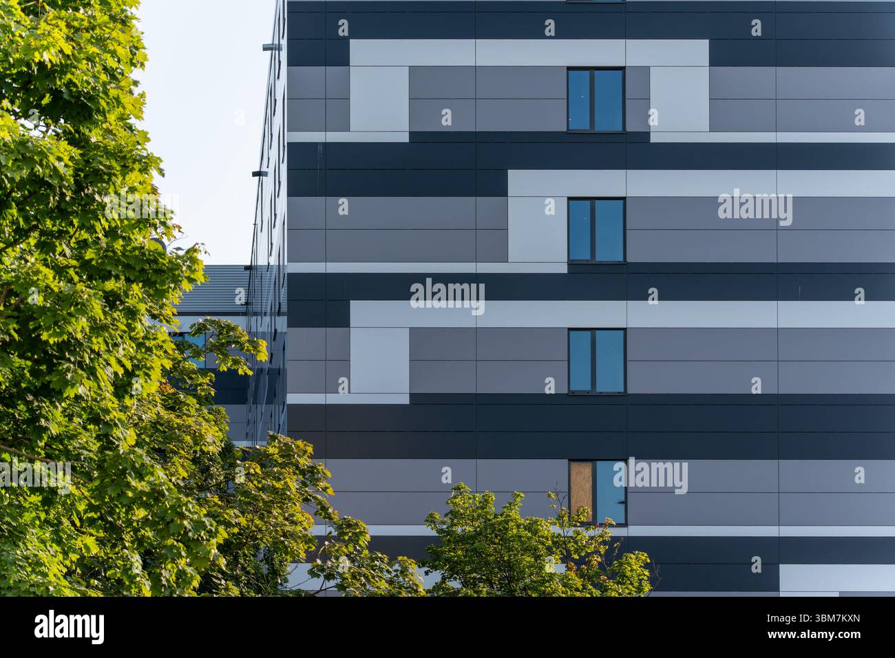 Una facciata moderna con motivi geometrici in grigio e bianco, parzialmente oscurata dagli alberi. L'edificio ha file regolari di finestre. Foto Stock Una facciata moderna con motivi geometrici in grigio e bianco, parzialmente oscurata dagli alberi. L'edificio ha file regolari di finestre. Foto Stock