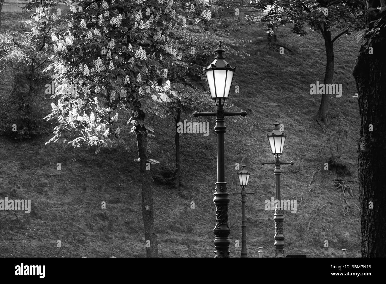 Questa foto in bianco e nero cattura l'atmosfera serena creata dai lampioni che illuminano il vialetto del parco. 17 maggio 2024, Kiev, vicolo degli artisti Foto Stock