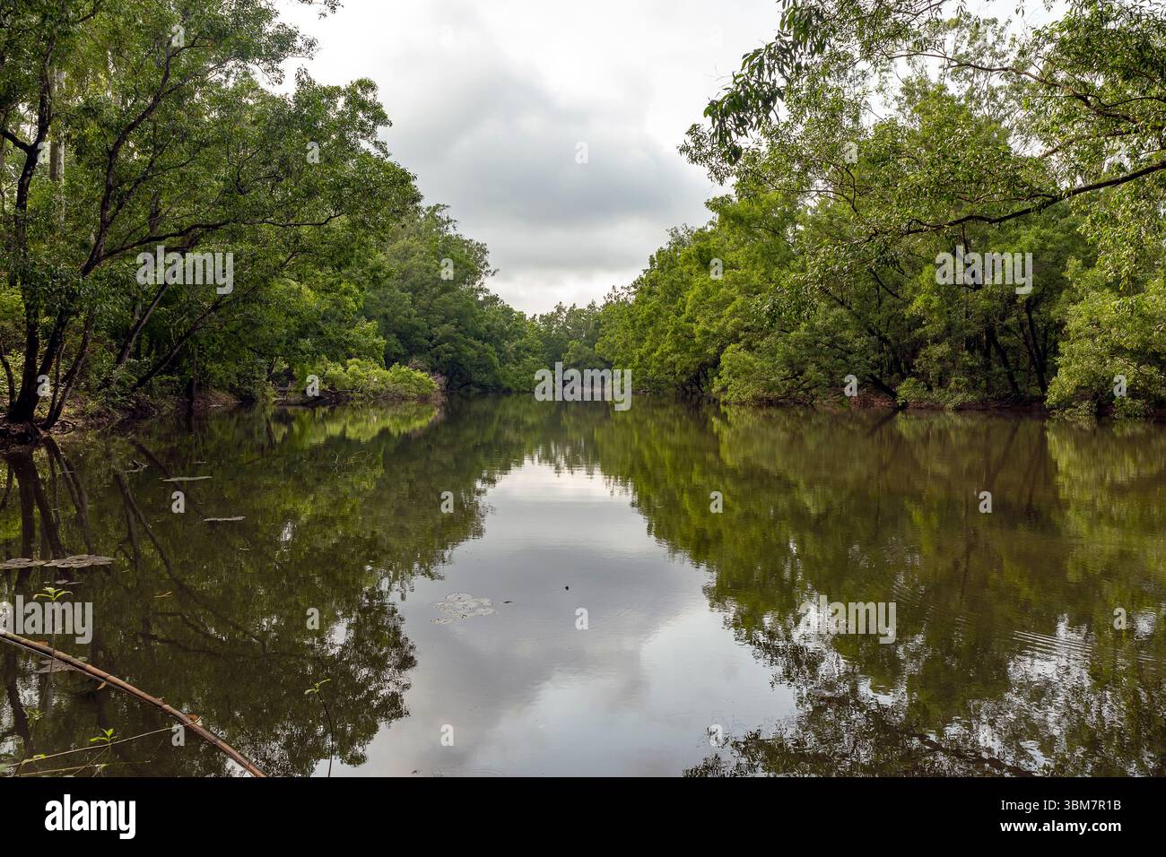 Un tranquillo fiume rispecchia gli alberi circostanti sotto un cielo nuvoloso, offrendo una tranquilla e rinfrescante scena naturale. Foto Stock