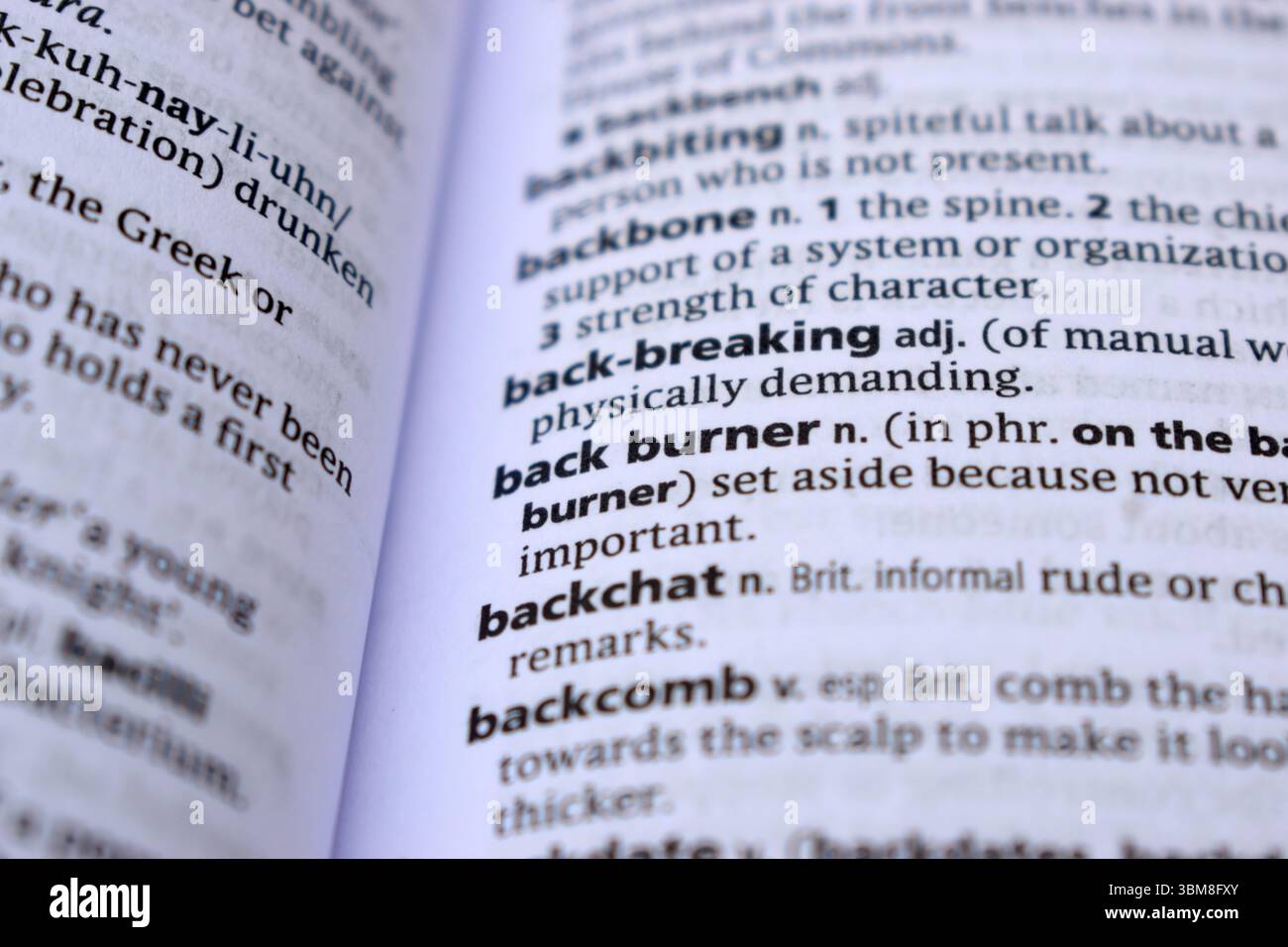 Primo piano della pagina del dizionario inglese con definizione parola - immagine masterizzatore posteriore Foto Stock