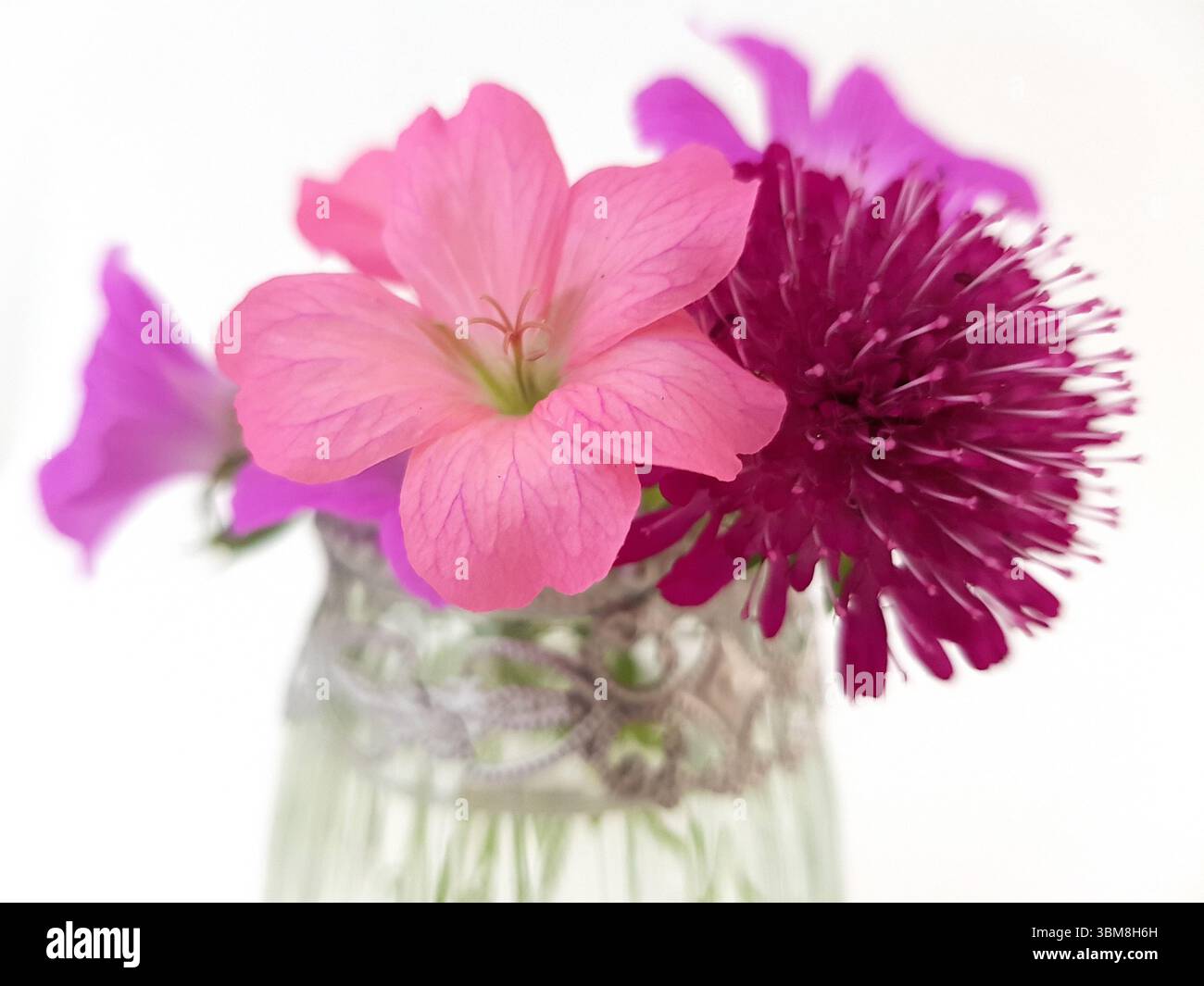 Un vaso decorativo in vetro con un'esposizione di fiori estivi colorati su sfondo bianco. Foto Stock
