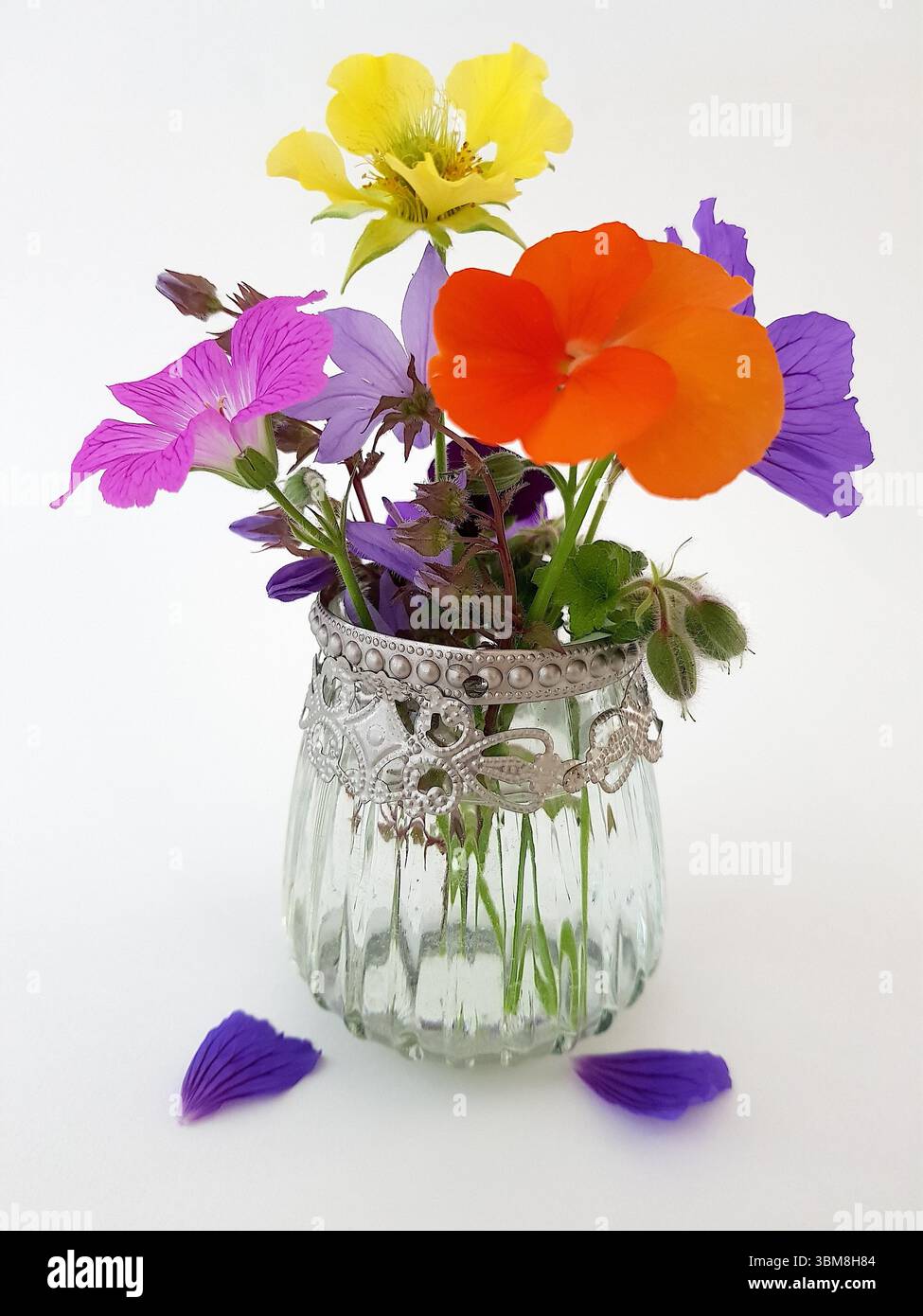 Un vaso decorativo in vetro con un'esposizione di fiori estivi colorati su sfondo bianco. Foto Stock