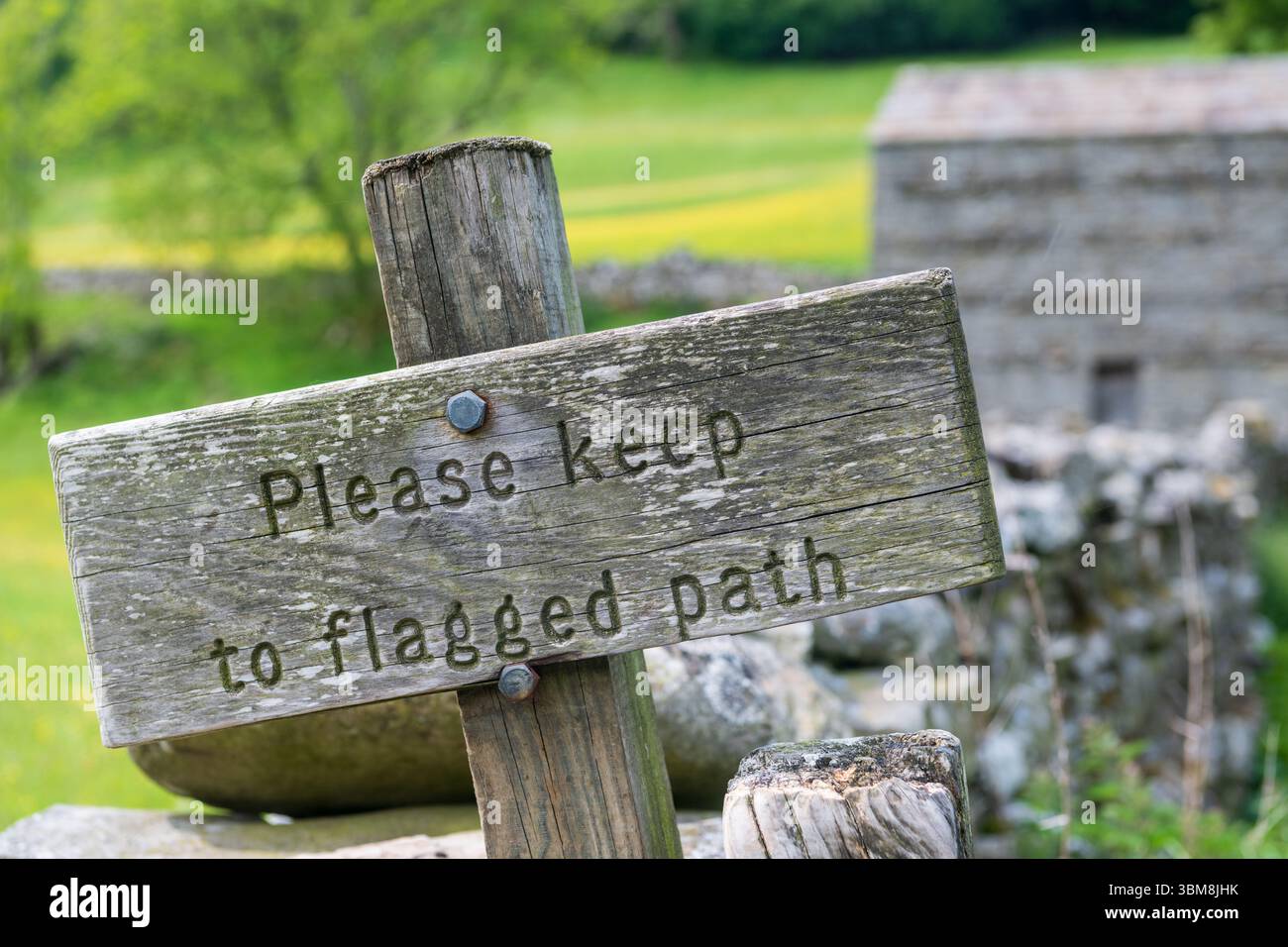 Segui un cartello lungo il sentiero pubblico che attraversa i prati di fiori selvatici di Muker chiedendo alla gente di rimanere sul sentiero per non calpestare l'erba. Yorkshire da Foto Stock