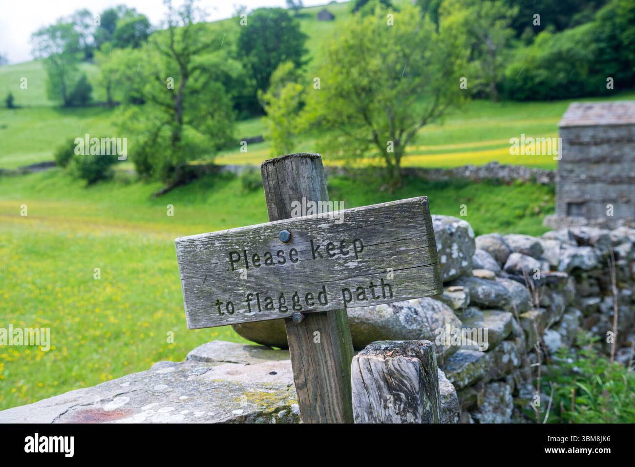Segui un cartello lungo il sentiero pubblico che attraversa i prati di fiori selvatici di Muker chiedendo alla gente di rimanere sul sentiero per non calpestare l'erba. Yorkshire da Foto Stock