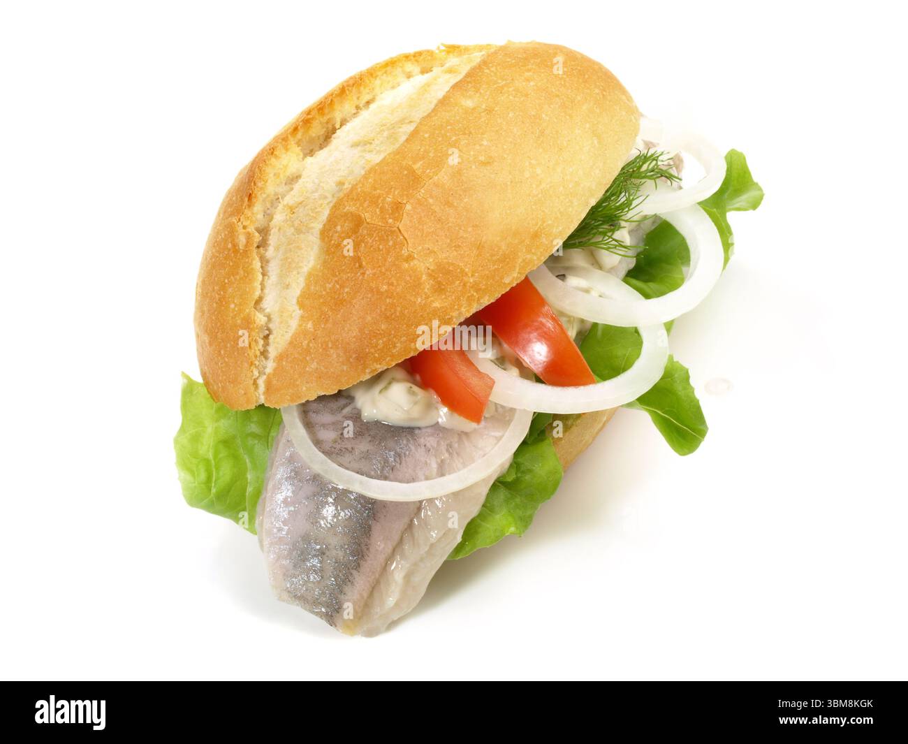 Aringa Matjes - Pesce Bun su sfondo bianco Foto Stock