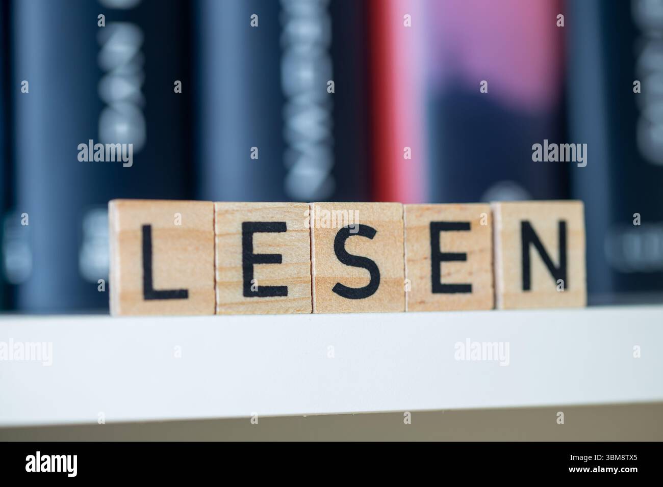 Le lettere in legno mostrano la parola LESEN davanti a una libreria (immagine simbolica) Foto Stock
