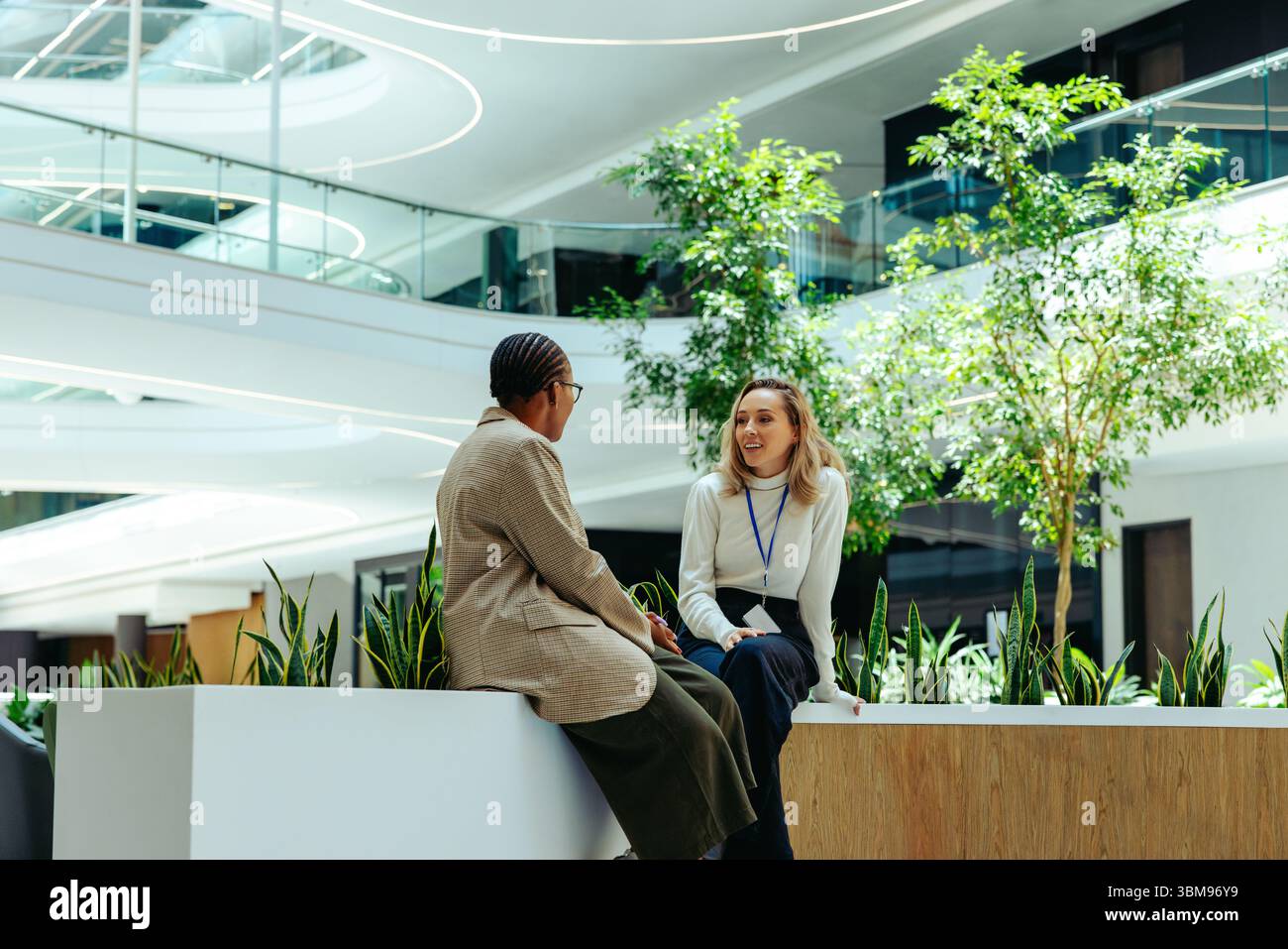 Due colleghi sono seduti e chiacchierano durante una pausa pranzo in un moderno ambiente di ufficio pieno di verde. Il luminoso spazio aperto e natura Foto Stock