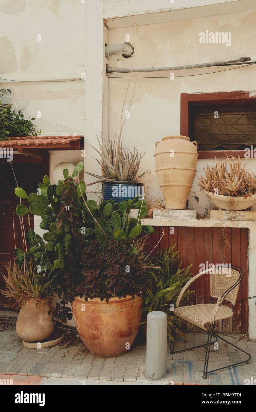 Natura morta in una strada tranquilla. Ombre morbide e bellezza quotidiana. Foto Stock