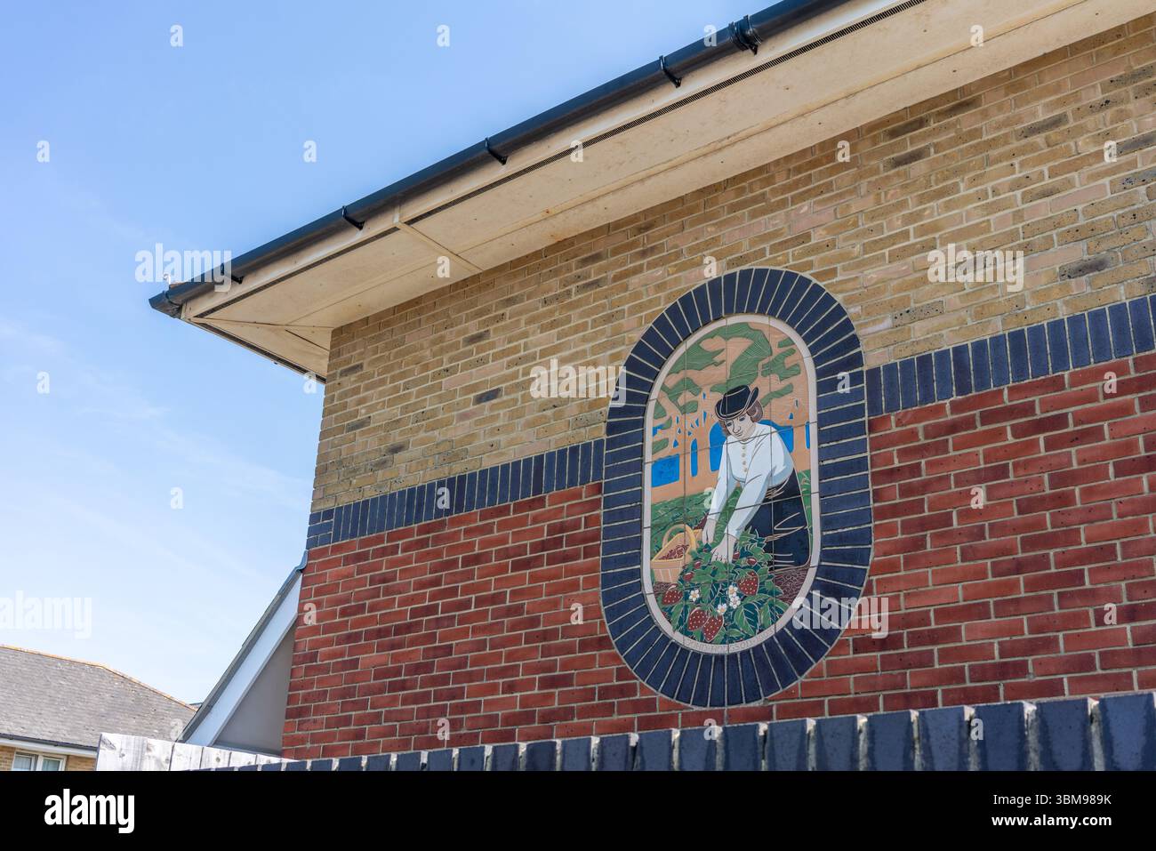 Mosaico di opere d'arte su edifici residenziali per raccontare la storia dei campi di fragole locali a Southampton Shirley, Hampshire, Inghilterra, Regno Unito Foto Stock