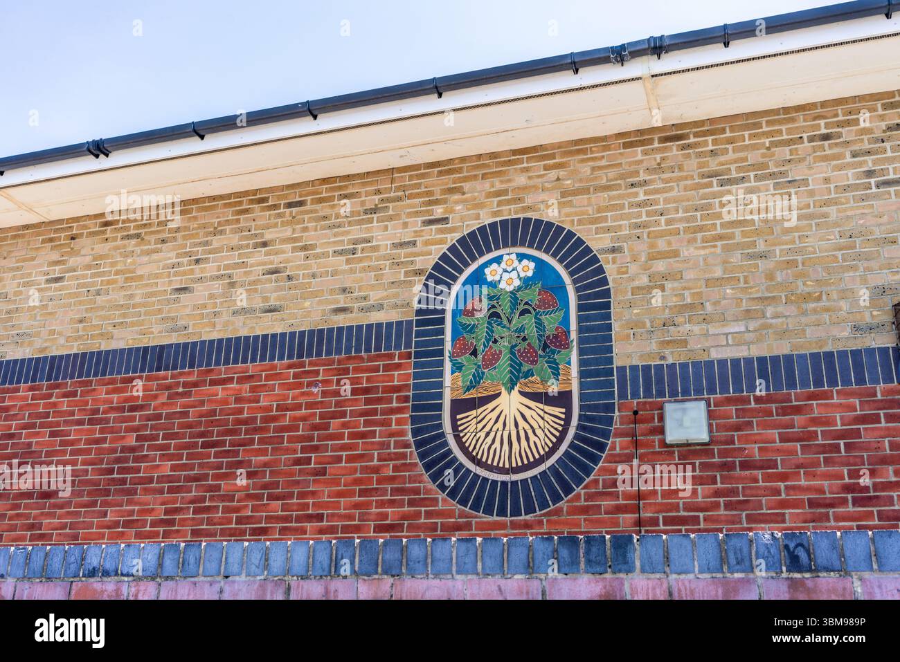 Mosaico di opere d'arte su edifici residenziali per raccontare la storia dei campi di fragole locali a Southampton Shirley, Hampshire, Inghilterra, Regno Unito Foto Stock