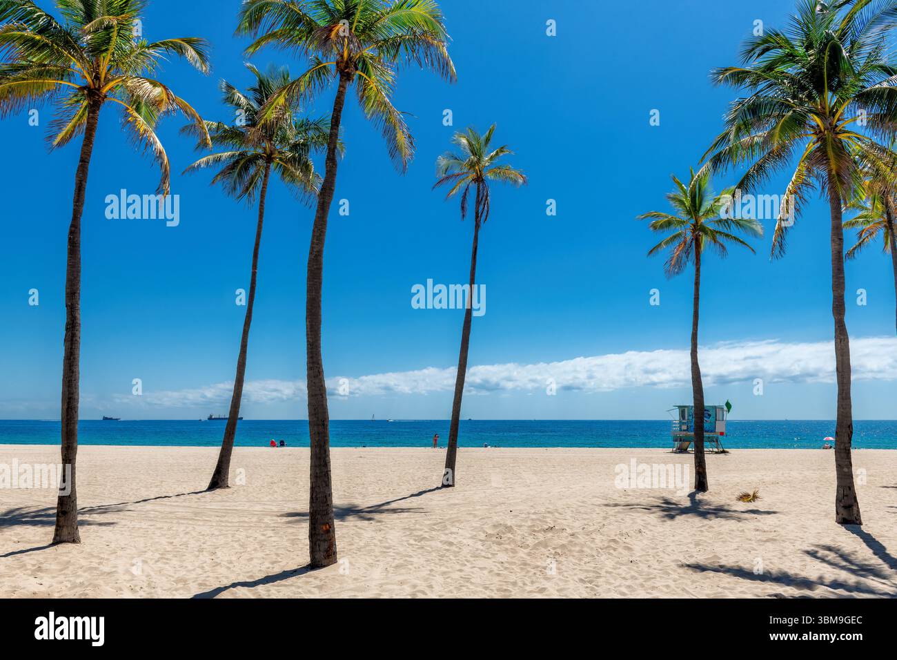 Soleggiata spiaggia tropicale di sabbia bianca con palme e mare turchese. Vacanza estiva e spiaggia tropicale. Foto Stock