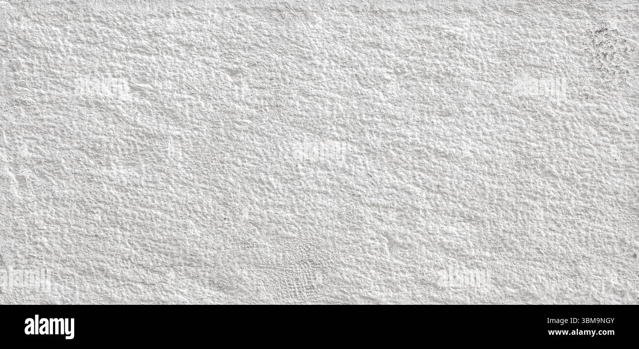 La parete in cemento testurizzato offre uno sfondo suggestivo, aggiungendo profondità e interesse visivo grazie alla superficie ruvida e irregolare Foto Stock