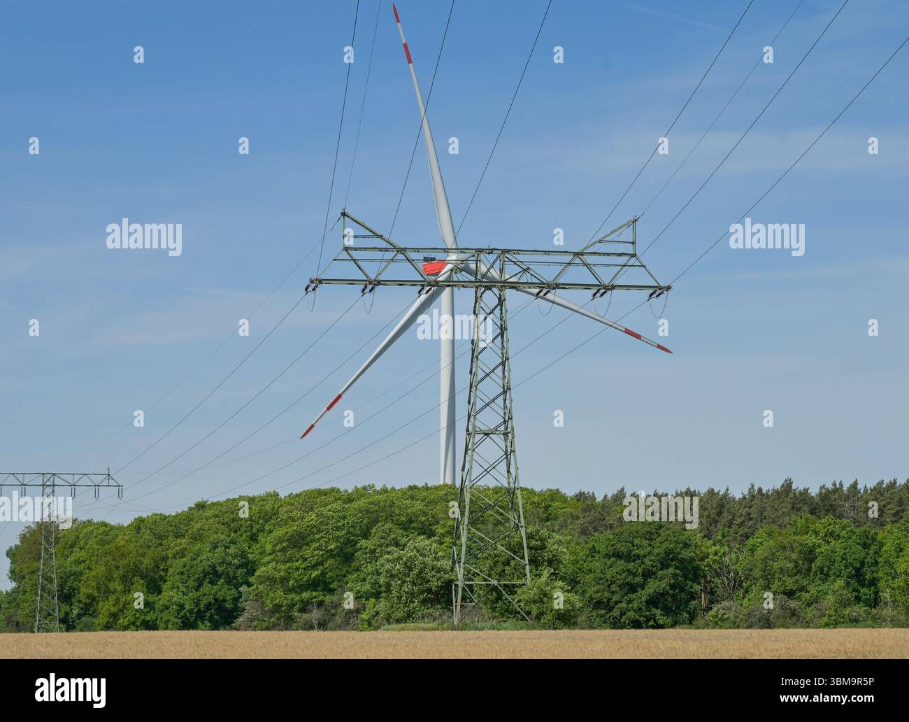 Windrad, Strommast, Großbeeren, Landkreis Teltow-Fläming, Brandeburgo, Germania Foto Stock