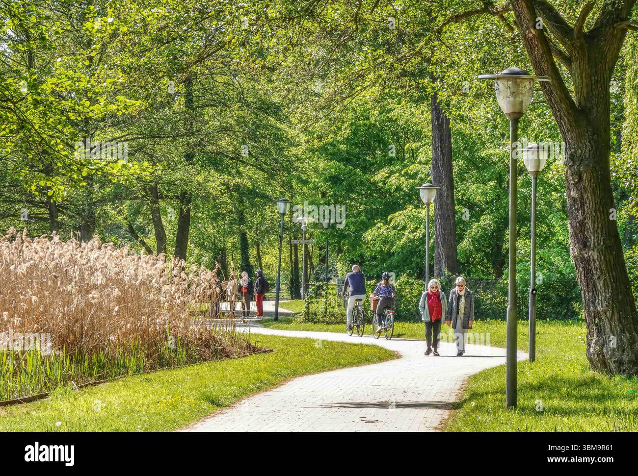Kurpark, Bad Saarow, Landkreis Oder-Spree, Brandeburgo, Deutschland Foto Stock