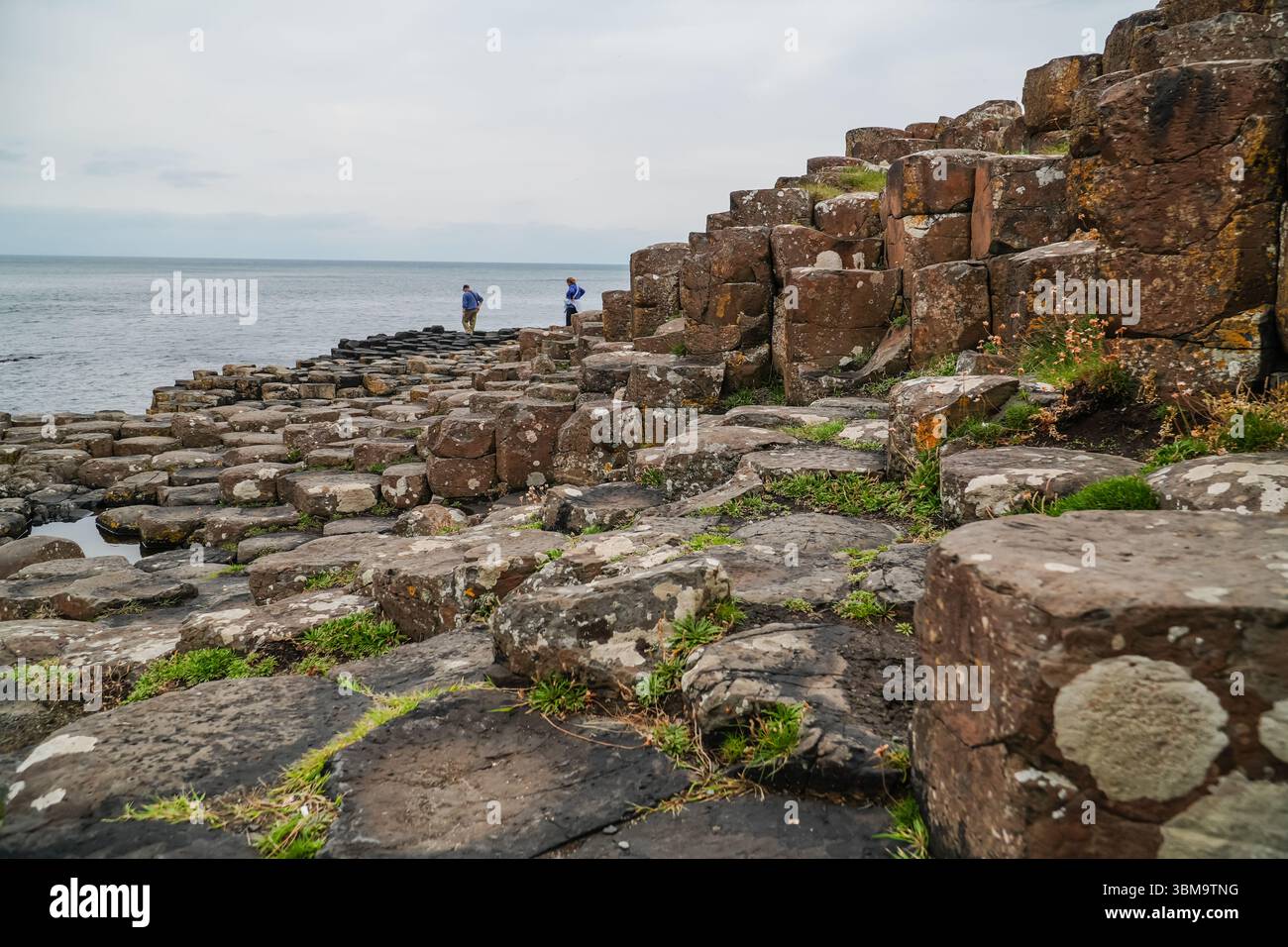 Selciato del gigante. Colonne di basalto esagonale incastrate formano questa meraviglia geologica lungo la costa dell'Irlanda del Nord. Foto Stock