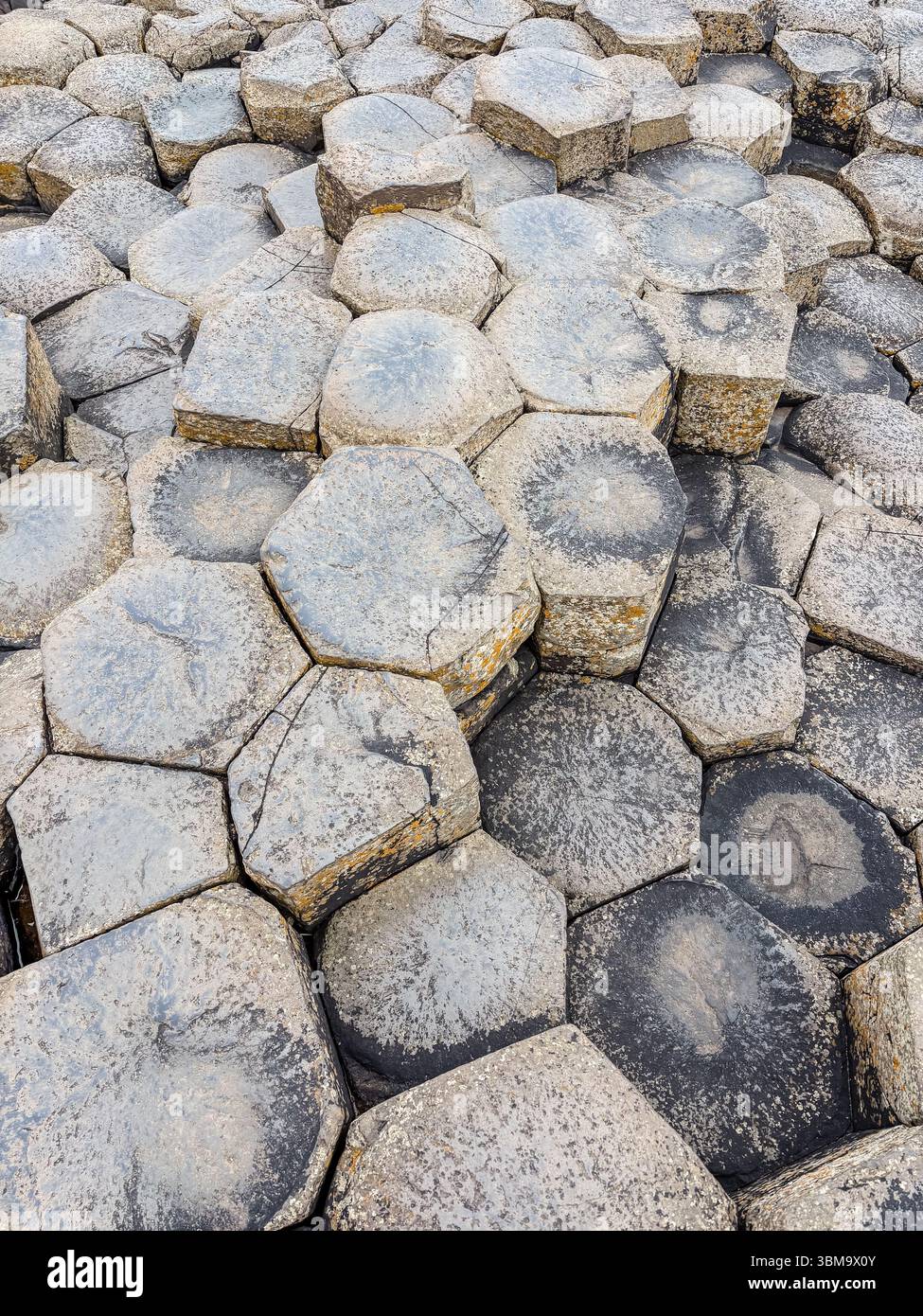 Selciato del gigante. Vista ravvicinata delle uniche colonne di basalto esagonale formate dall'antica attività vulcanica. Patrimonio dell'umanità dell'UNESCO e vincitore naturale Foto Stock
