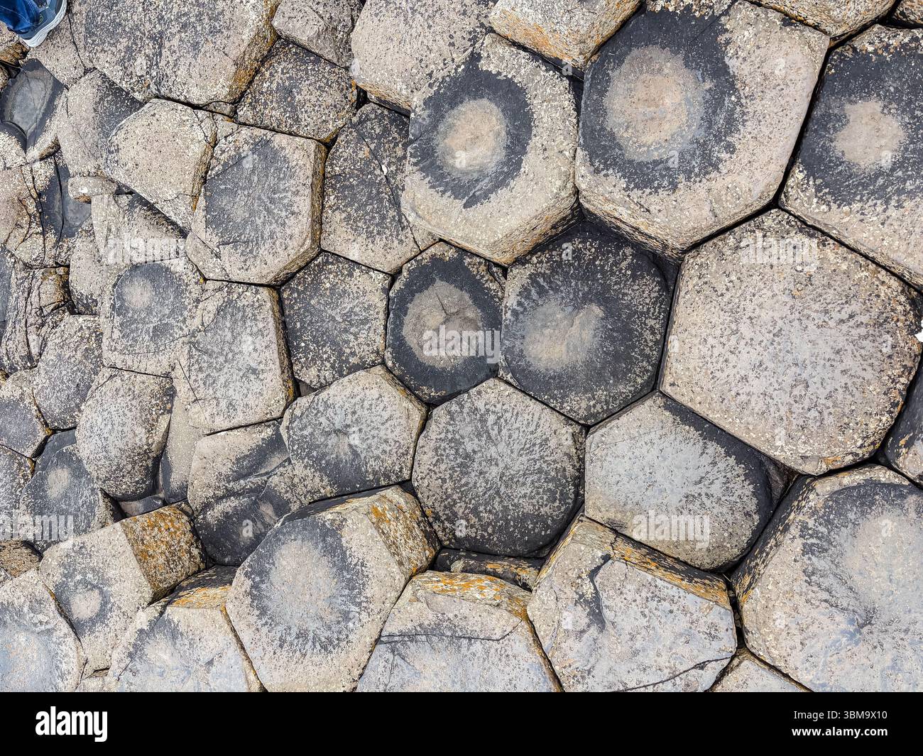 Selciato del gigante. Vista ravvicinata delle colonne esagonali di basalto, una formazione geologica unica e iconica attrazione turistica dell'Irlanda del Nord. Foto Stock