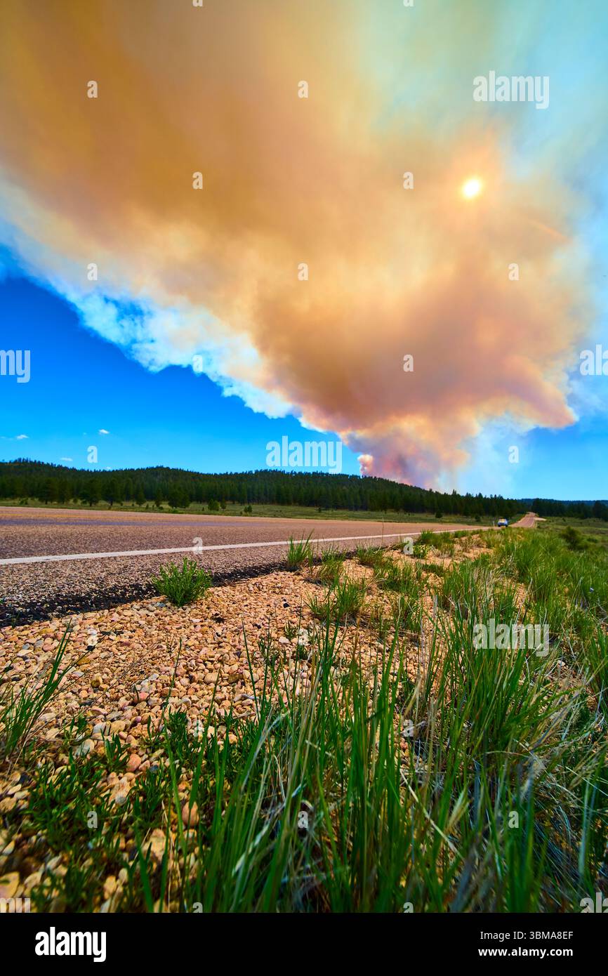Il fumo di Wildfire sorge sul lato della strada della foresta con il sole e il cielo blu Foto Stock