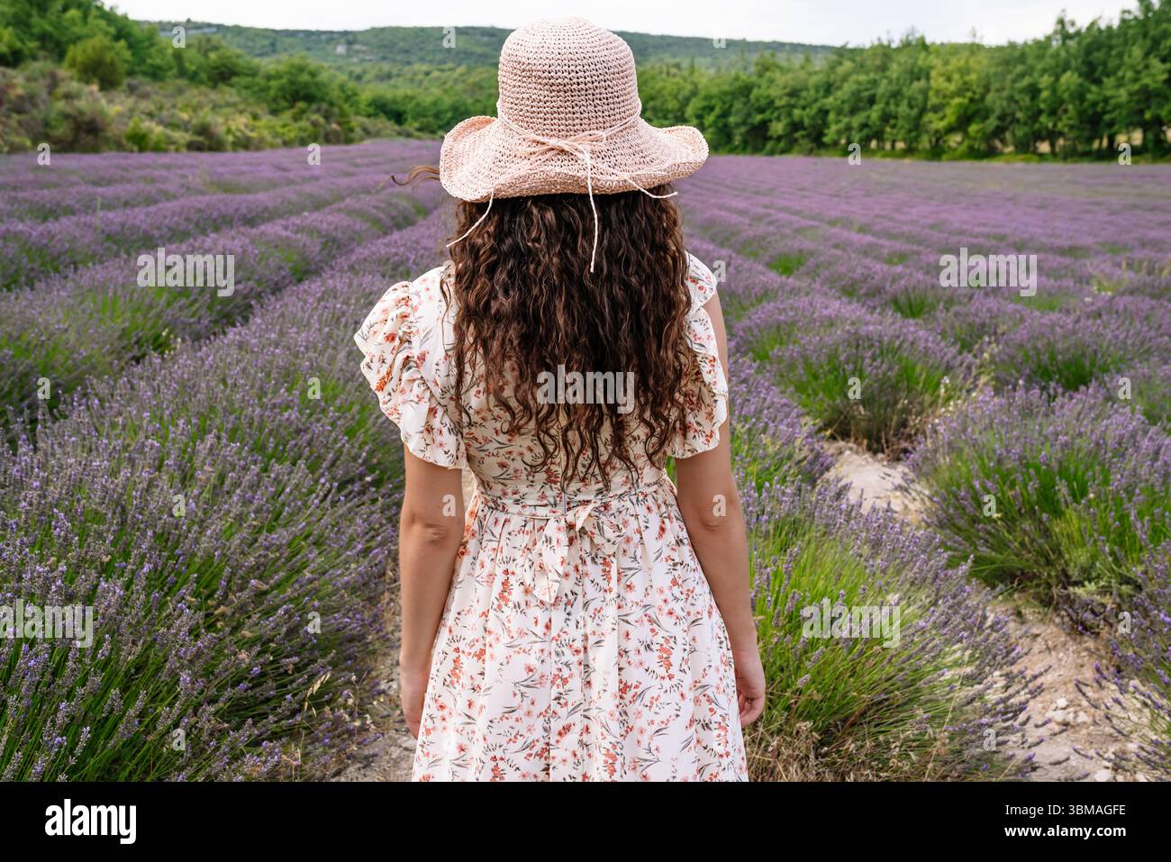 Donna che ama il campo di lavanda nella campagna estiva Foto Stock