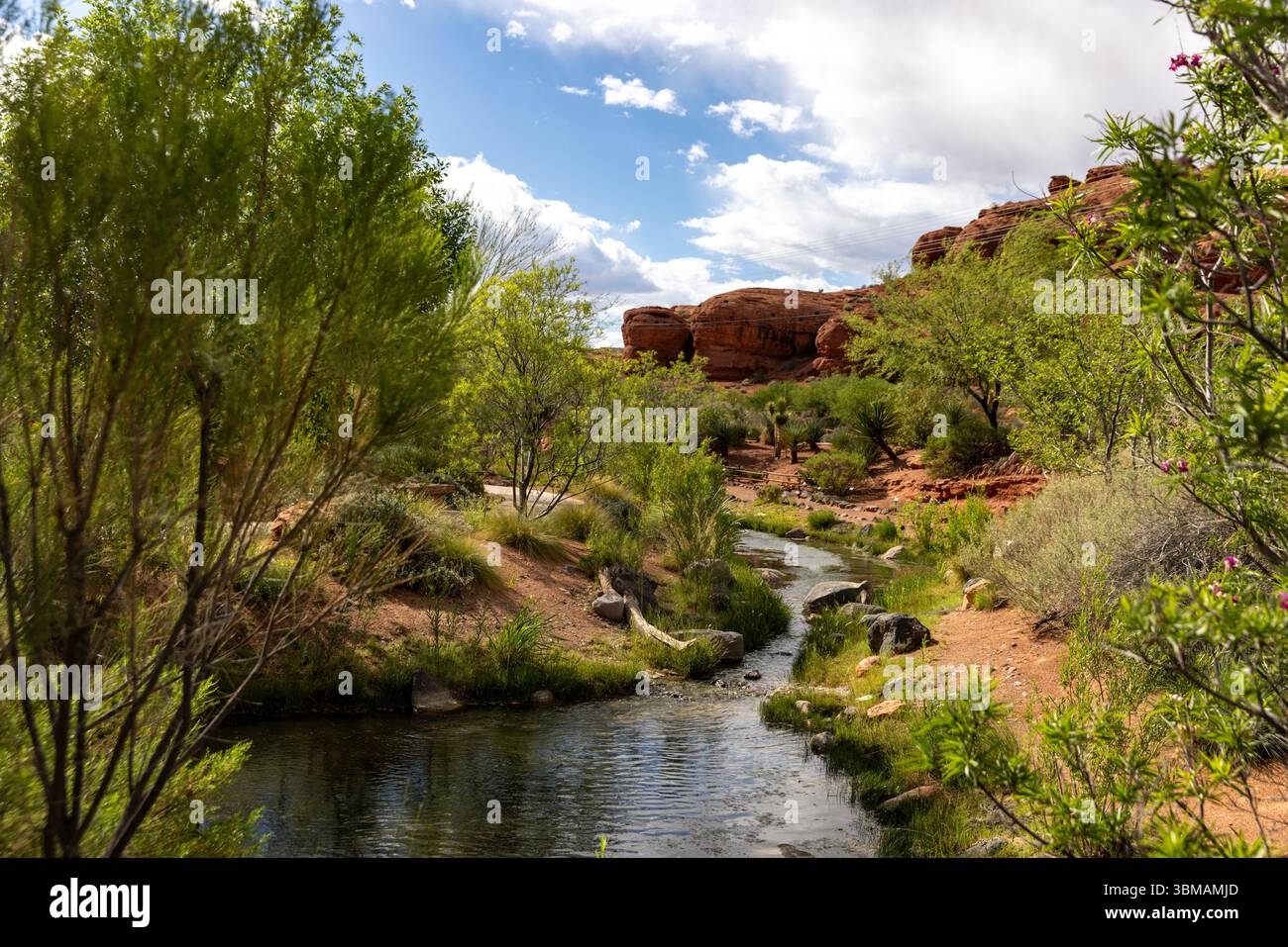 Il Red Hills Desert Garden di St George, Utah, è gratuito e aperto al pubblico e mette in mostra il paesaggio del deserto. Foto Stock
