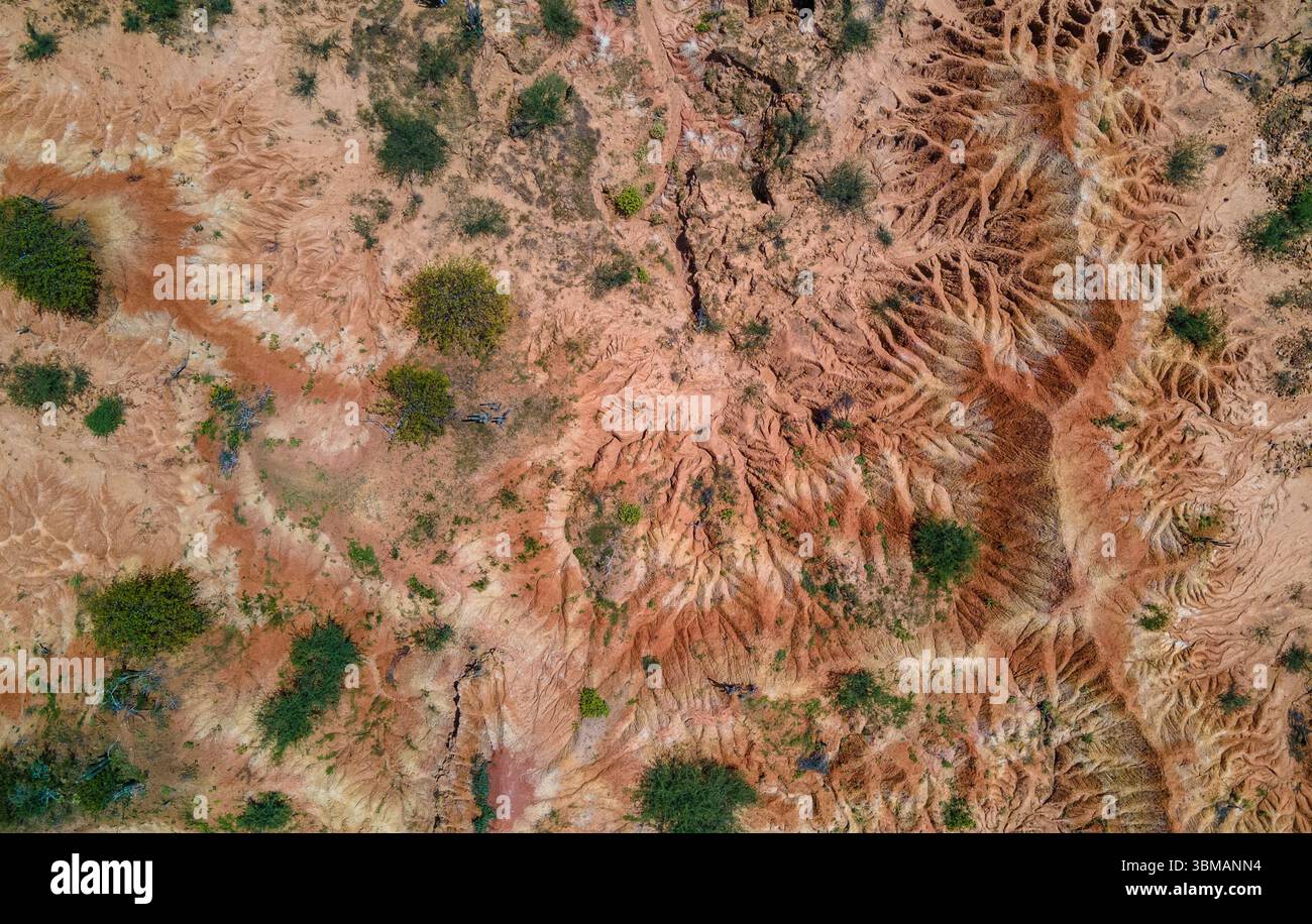 Splendida vista aerea del paesaggio unico e colorato del deserto di Tatacoa, Huila, Colombia, che mostra i suoi intricati motivi e la vegetazione. Foto Stock