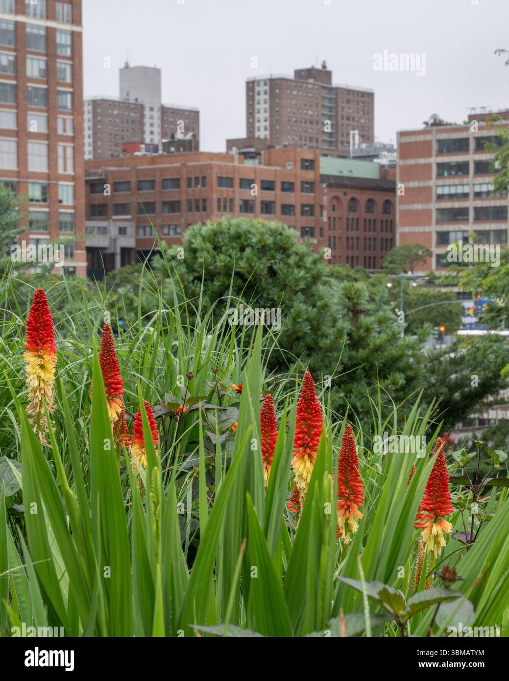 Little Island New York City al Molo 55 - isola artificiale e parco pubblico all'interno dell'Hudson River Park a Chelsea e meatpacking - Heatherwick Studio Foto Stock