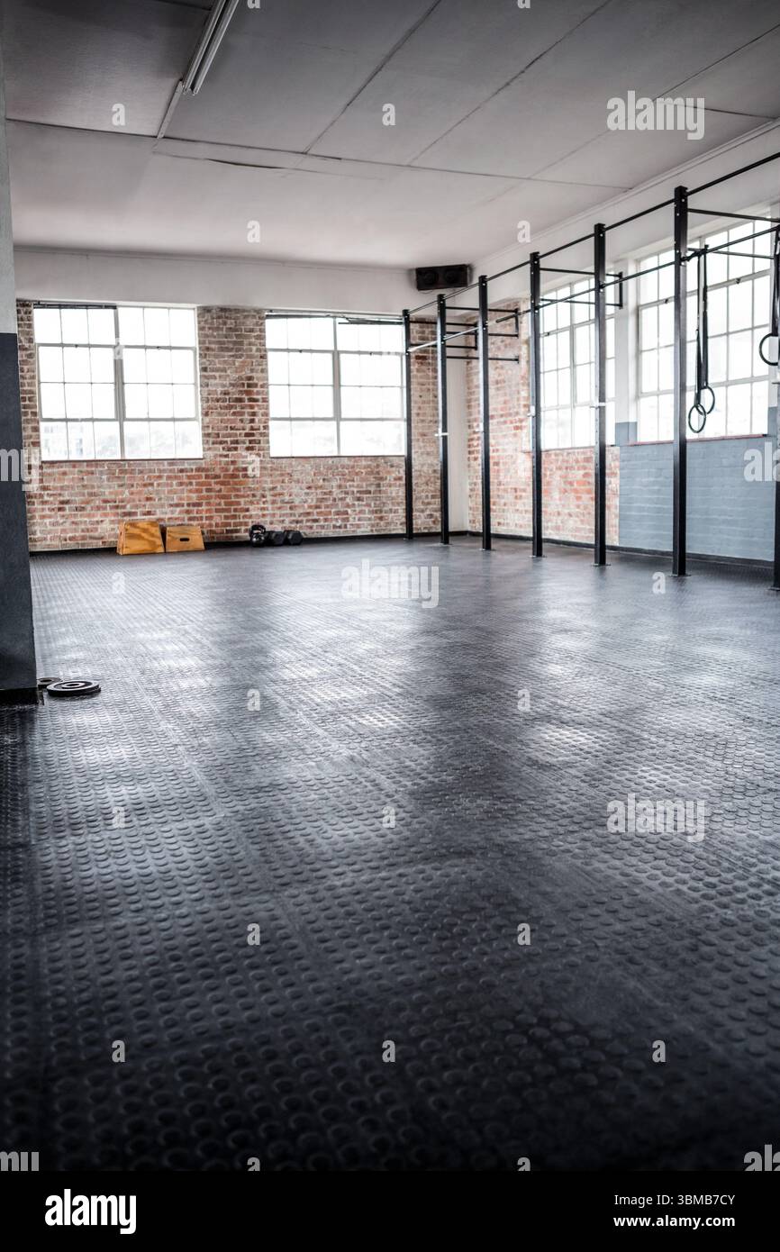 Design piatto vettoriale che mostra una palestra CrossFit vuota con pavimento in gomma, carro di sollevamento, anelli, campanelli Foto Stock Design piatto vettoriale che mostra una palestra CrossFit vuota con pavimento in gomma, carro di sollevamento, anelli, campanelli Foto Stock