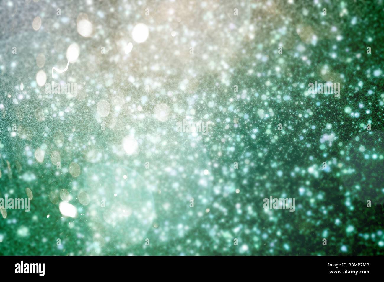 Neve bianca e stelle sul verde Foto Stock