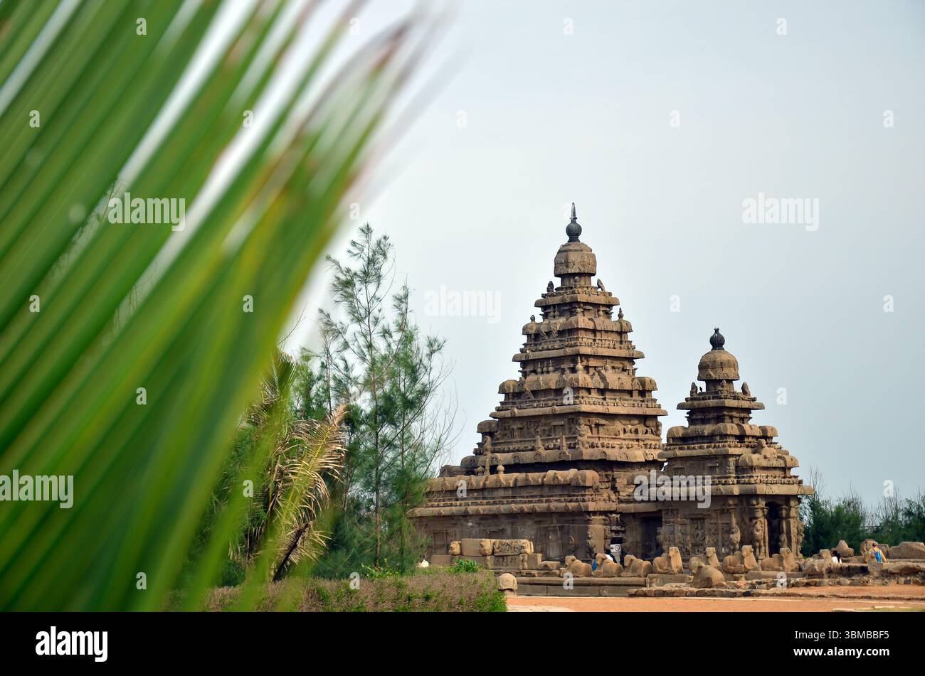 Il Tempio Shore - Una meraviglia del Patrimonio Mondiale dell'Umanita', Mahabalipuram, Tamil Nadu Foto Stock
