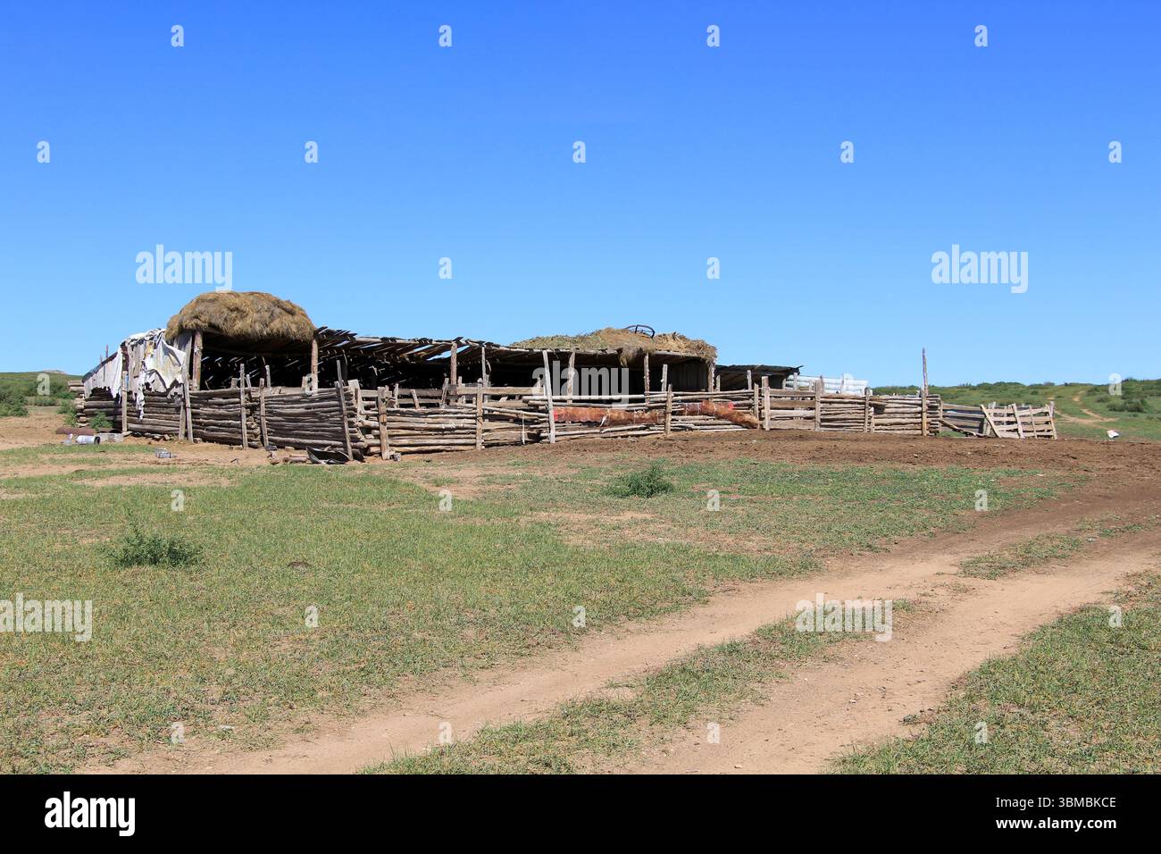 Una capanna nella campagna di Harhorin, Mongolia. Queste capanne sono utilizzate per tenere pecore e capre in estate. Foto Stock