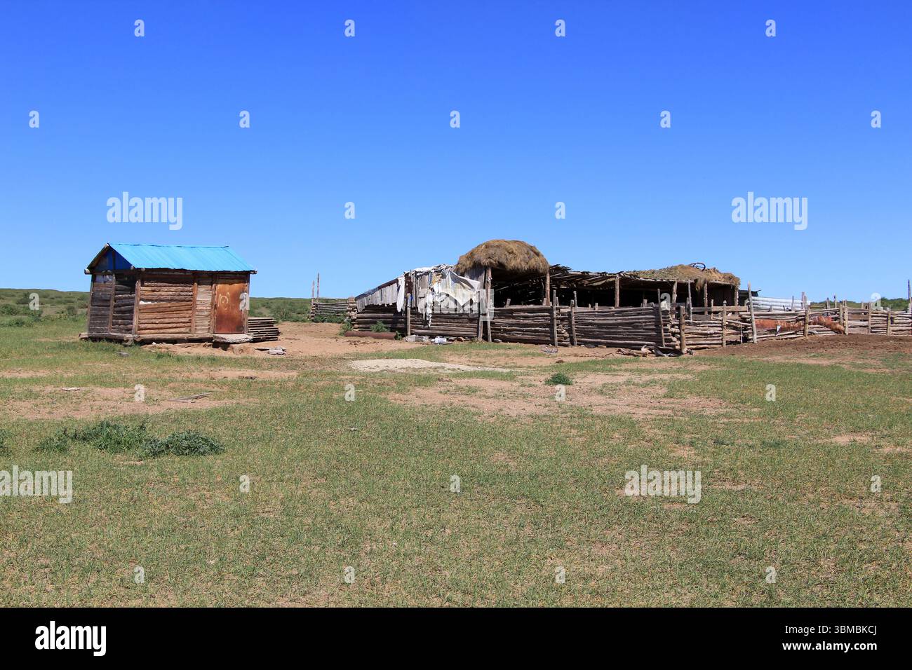 Una capanna nella campagna di Harhorin, Mongolia. Queste capanne sono utilizzate per tenere pecore e capre in estate. Foto Stock