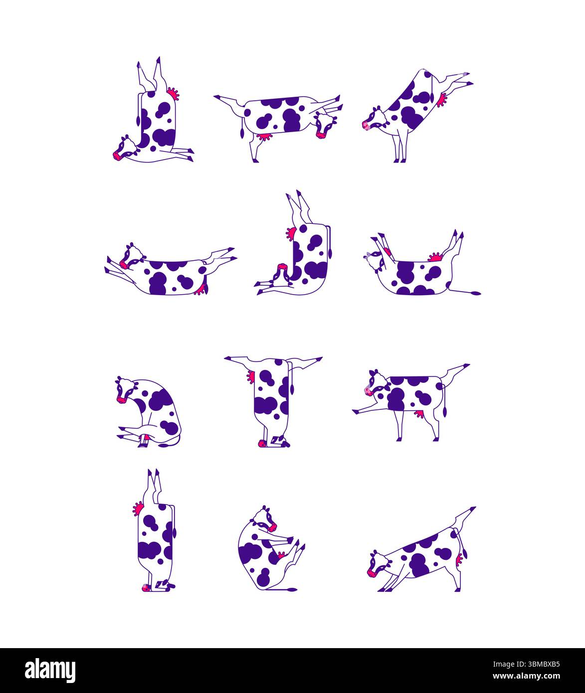 Pose per lo yoga mucca. Yogi rurale. Mucche che fanno ginnastica rilassante. Il bestiame si rilassa Illustrazione Vettoriale