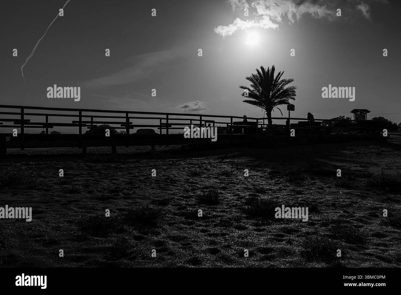 Una tranquilla spiaggia al tramonto presenta palme sagomate e una recinzione di legno sotto un cielo limpido. Foto Stock