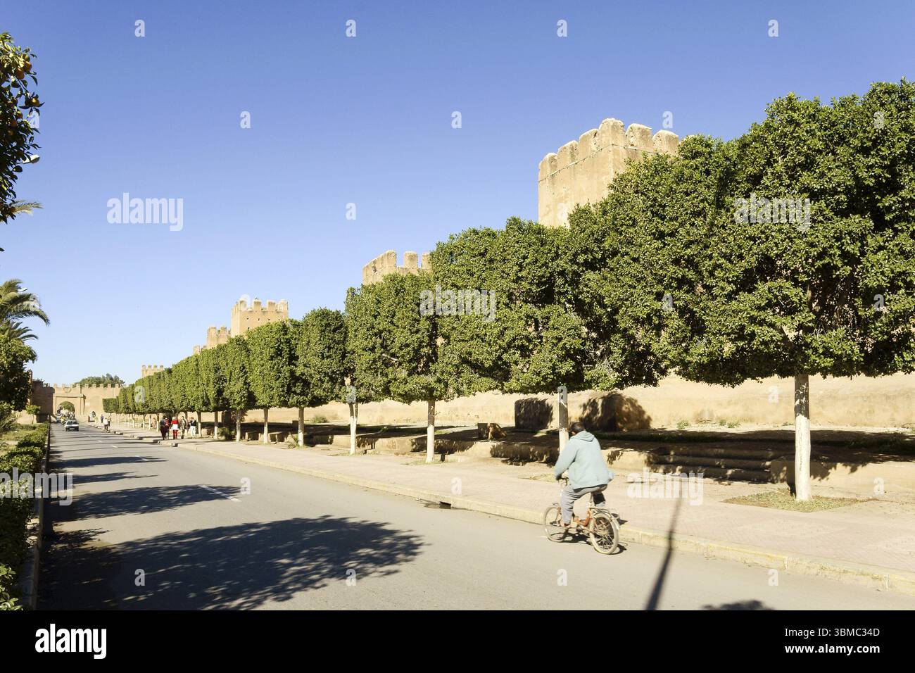 Taroudant, muri di adobe. Sous Valley, Anti Atlante Marocco Foto Stock