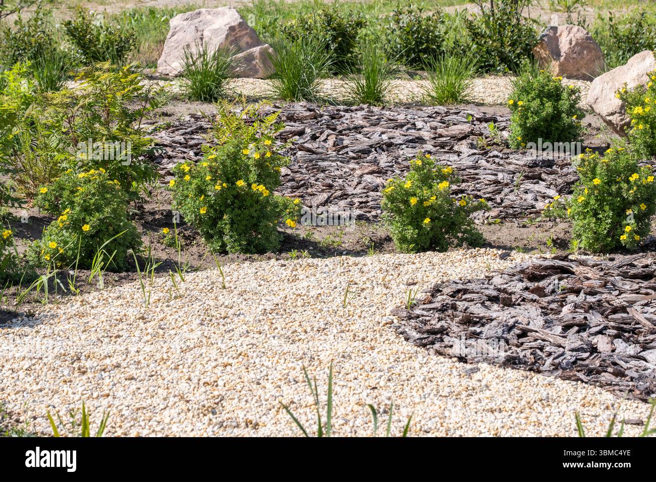 Aiuola con fiori gialli e pietre nel giardino primaverile. Design paesaggistico Foto Stock