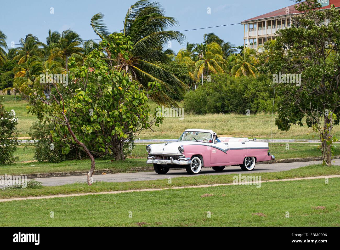 VARADERO, CUBA - 30 AGOSTO 2023: Ford Fairlane Convertible degli anni '1950, veicolo d'epoca rosa-bianco bicolore a Cuba, palme Foto Stock