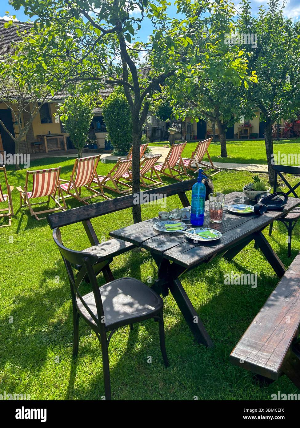 Giardino all'aperto con un tavolo in legno rustico, piatti e bicchieri vuoti e file di sedie a sdraio a righe sotto alberi verdi, perfetto per il relax estivo Foto Stock