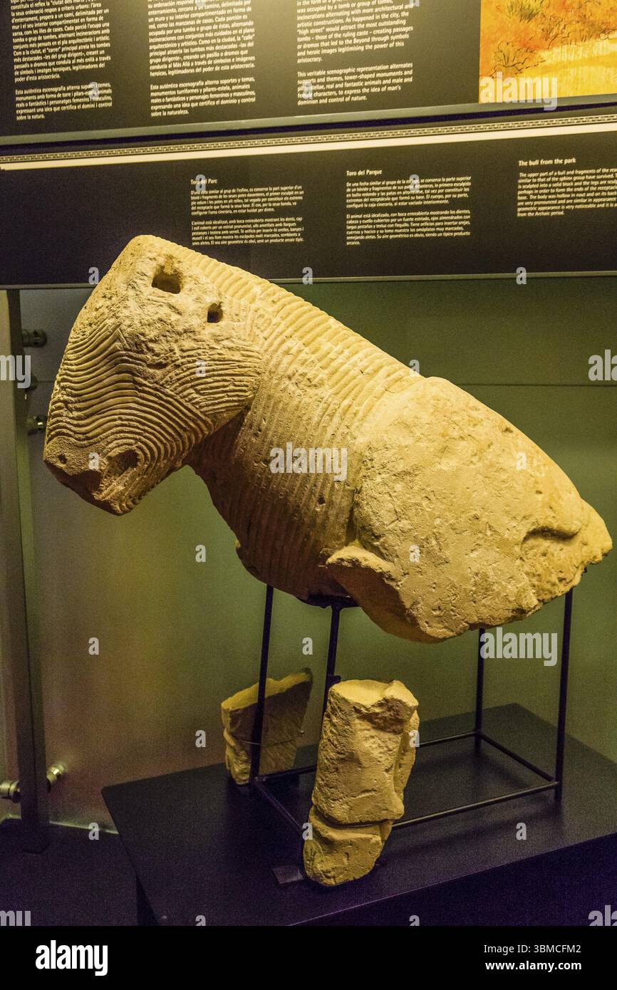 Bolla del parco, arte iberica, museo archeologico e storico di Elche Alejandro Ramos Folques, Elche, Alicante, Spagna, Europa Foto Stock