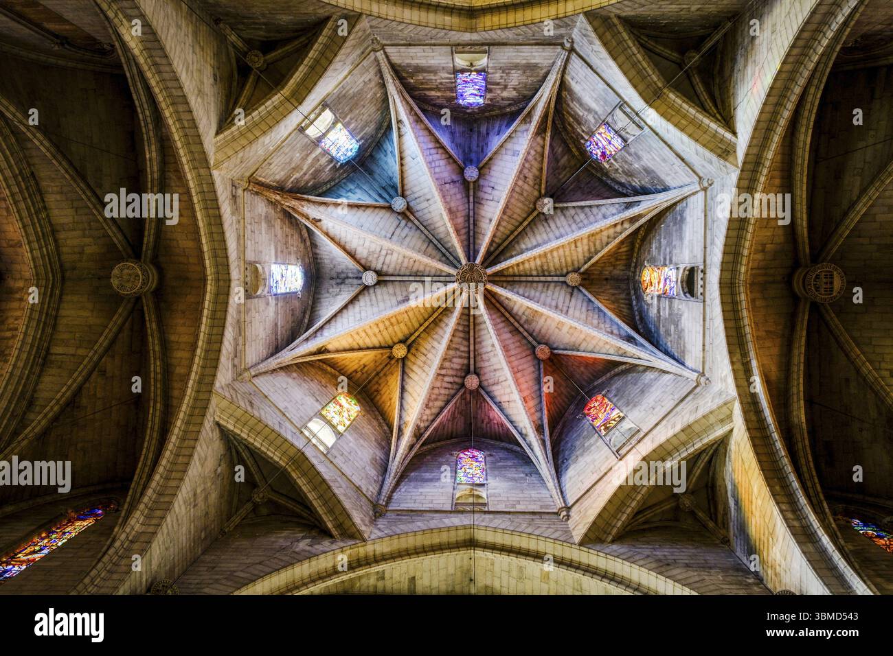 Chiesa di nostra Signora Addolorata, stile neogotico del XIX secolo, ex chiesa di Santa Maria de Manacor, navata principale con pianta a croce latina, Manacor, Mall Foto Stock Chiesa di nostra Signora Addolorata, stile neogotico del XIX secolo, ex chiesa di Santa Maria de Manacor, navata principale con pianta a croce latina, Manacor, Mall Foto Stock