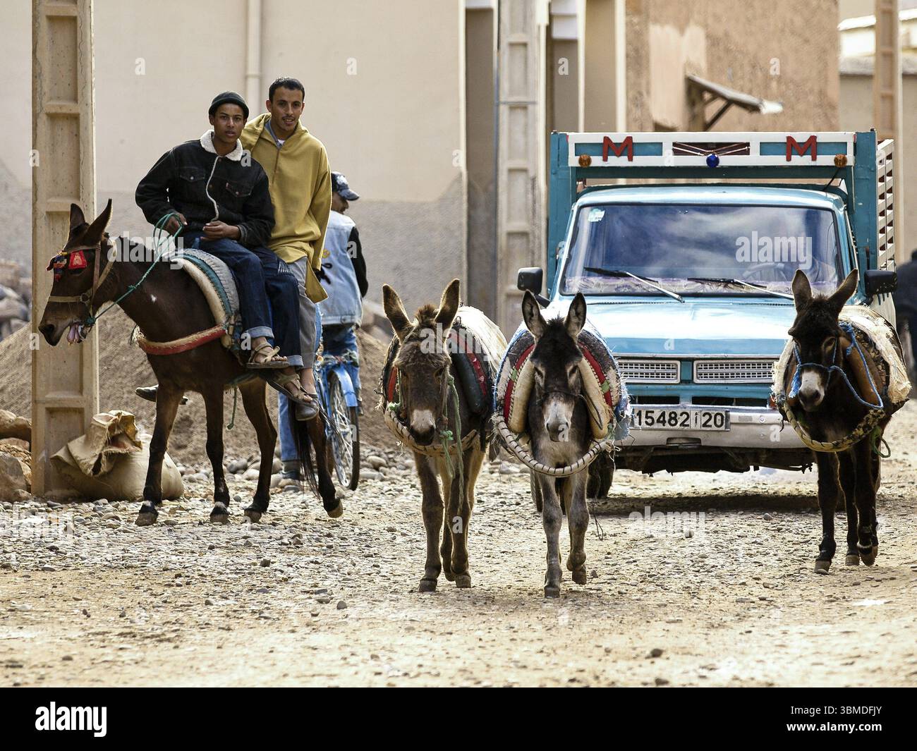Asini nella Kasbah berbera, villaggio di Tioute, Valle del Sous, Antiatlas, Marocco, Africa Foto Stock