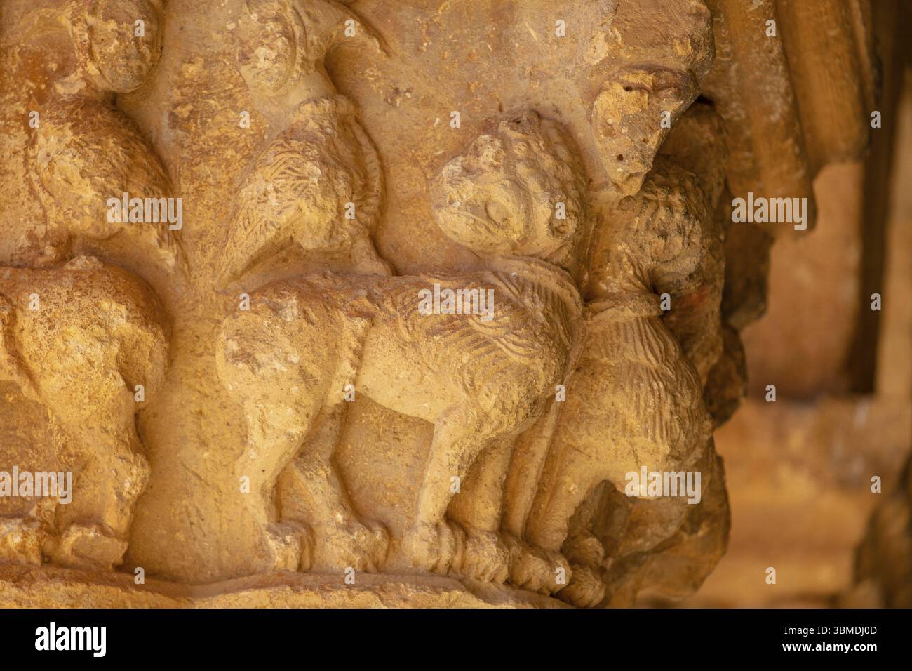 Animali fantastici con teste umane, galleria porticata, Chiesa di San Pedro Apostol, romanico, XII secolo - Monumento storico Artistico Nazionale - Foto Stock