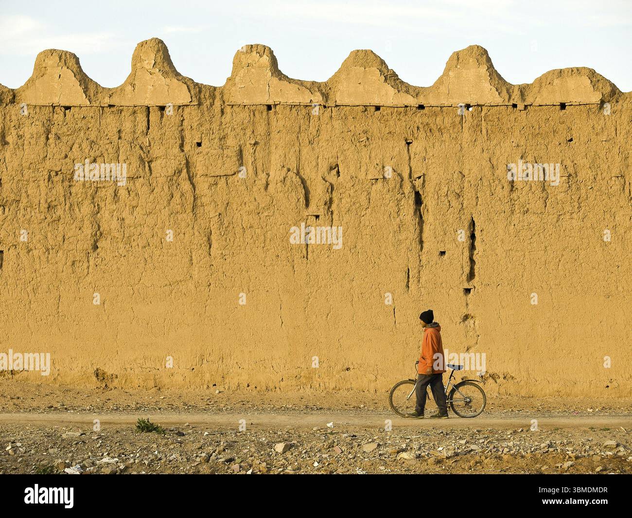 Taroudant, muri di adobe. Sous Valley, Anti Atlante Marocco Foto Stock