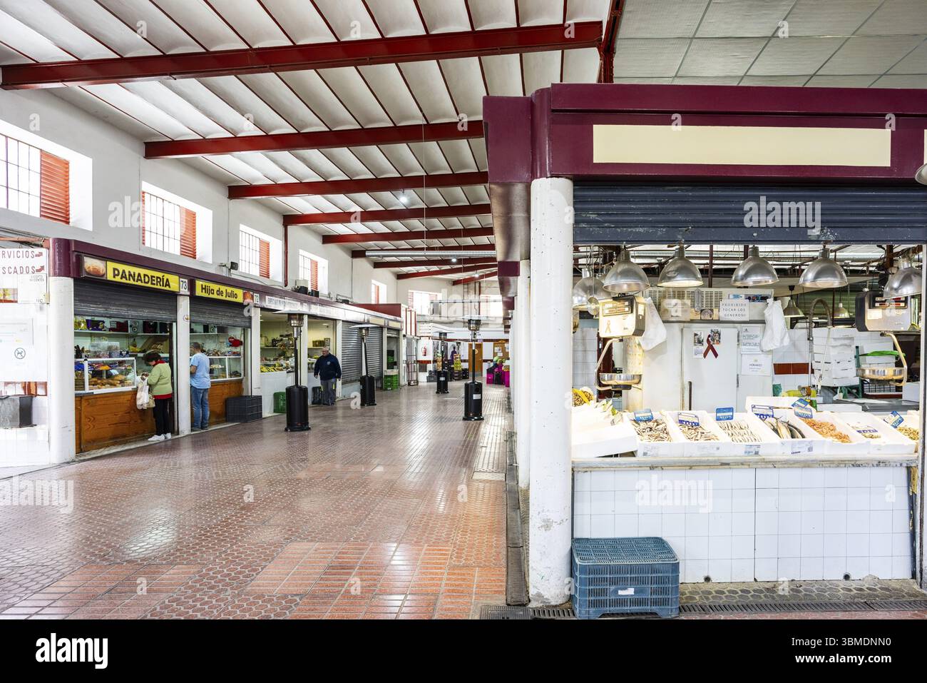 Mercato municipale, Ubeda, provincia di Jaen, Andalusia, Spagna, Europa Foto Stock