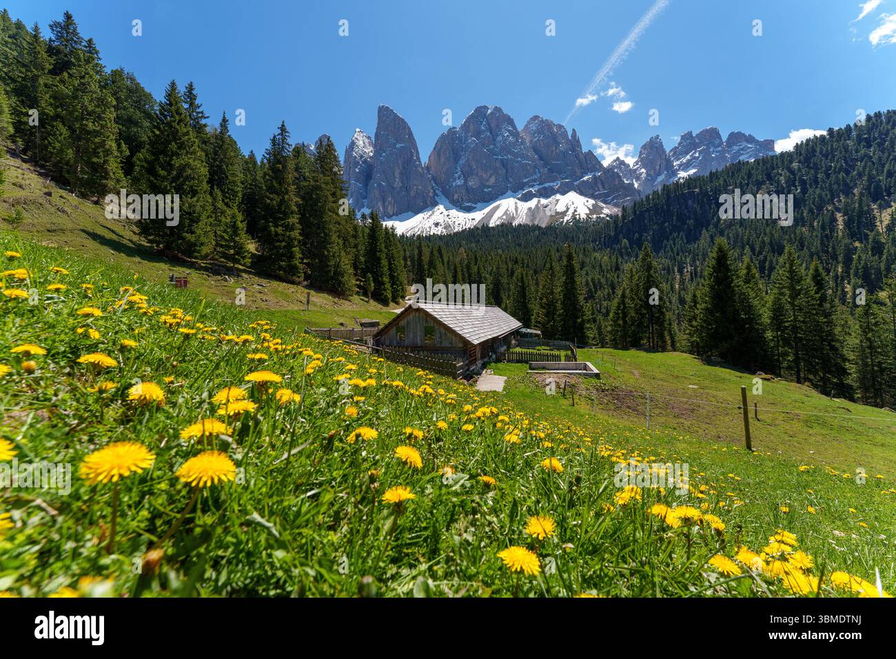 Cabina di montagna su prato verde con leoni rossi e cime innevate delle Dolomiti sullo sfondo sotto il cielo blu. Foto di alta qualità Foto Stock