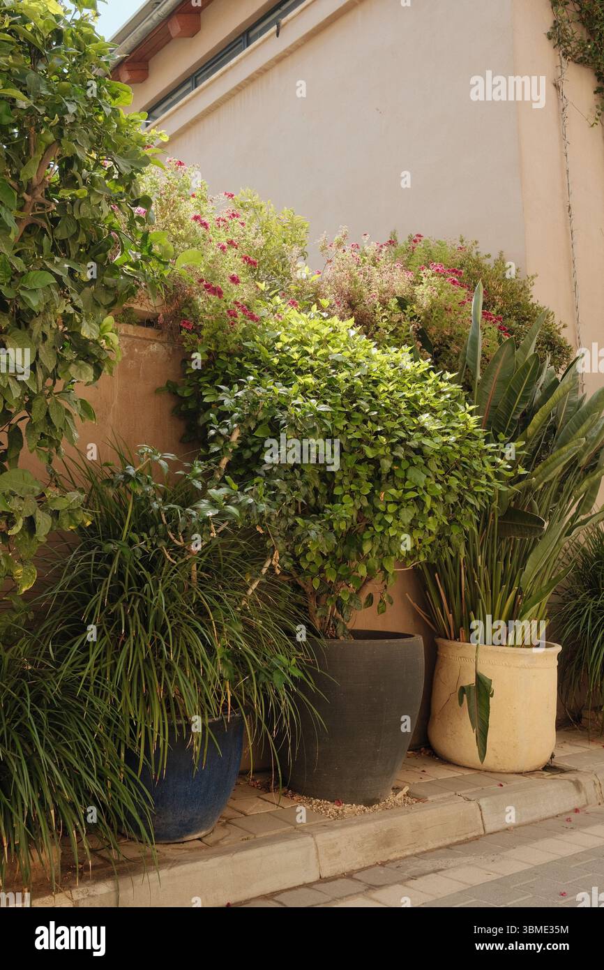 Vasi da giardino ispirati al vintage in Warm Tones Foto Stock