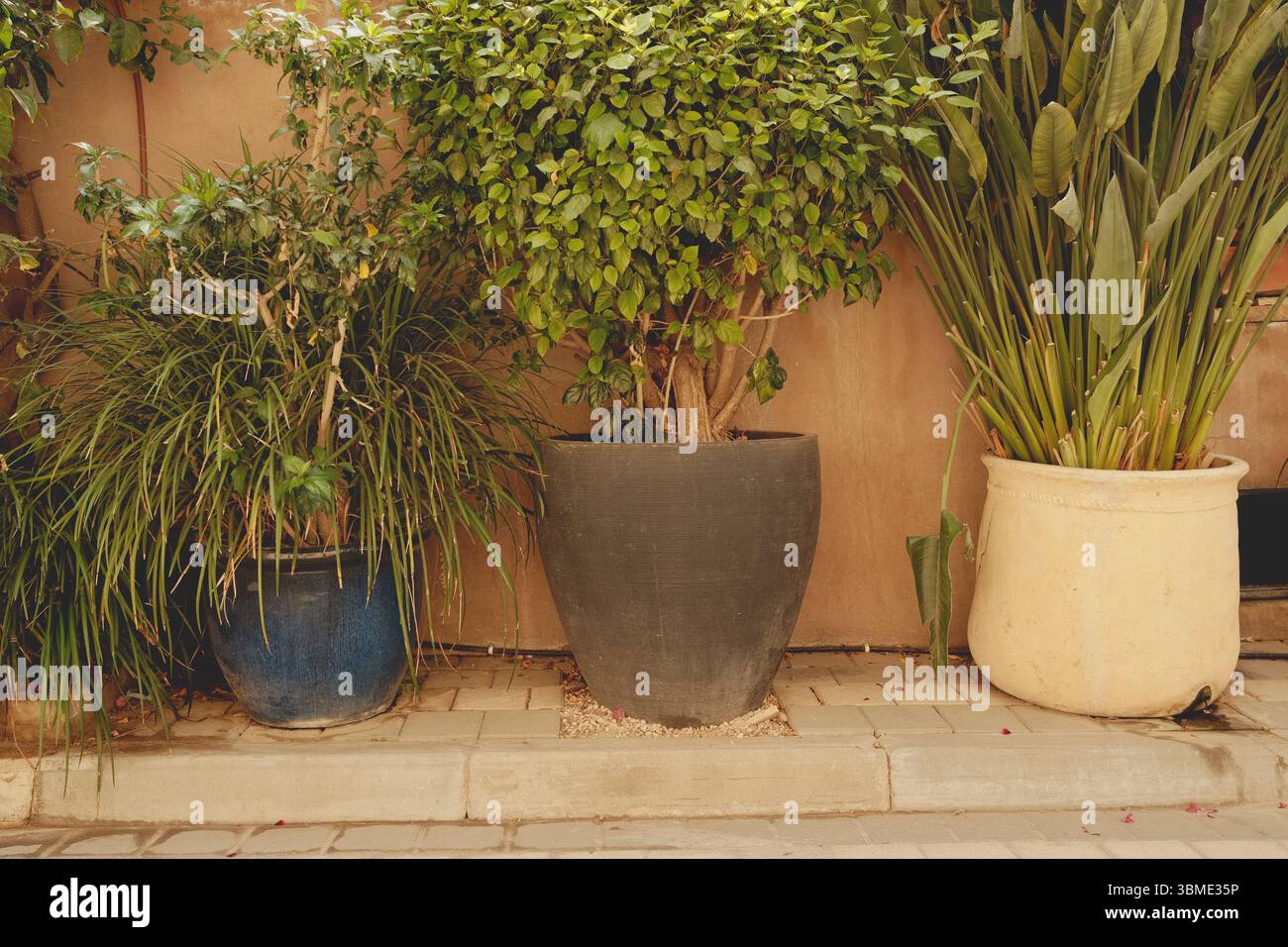 Vasi da giardino ispirati al vintage in Warm Tones Foto Stock