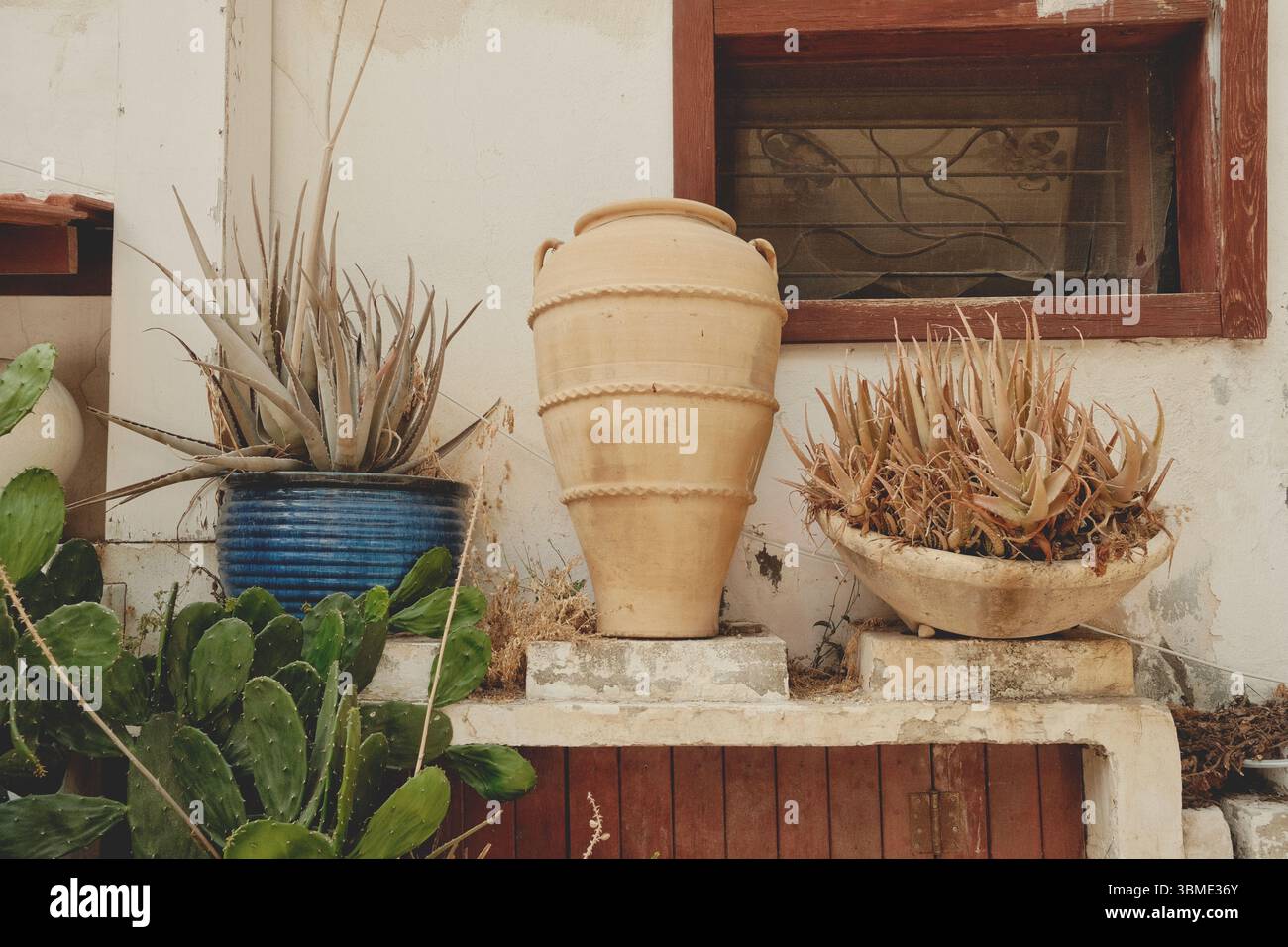 Vasi da giardino ispirati al vintage in Warm Tones Foto Stock